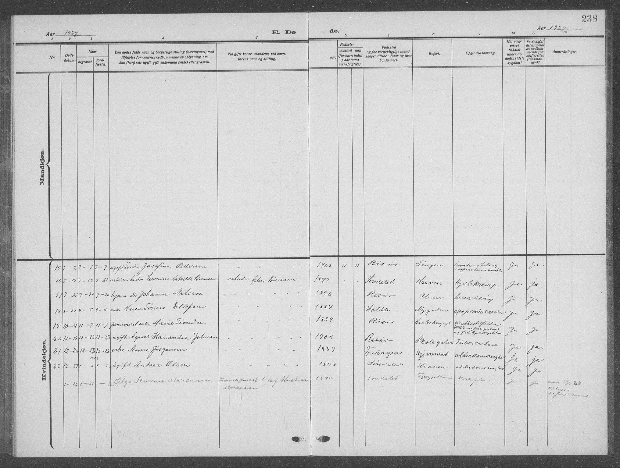 Risør sokneprestkontor, AV/SAK-1111-0035/F/Fb/L0009: Parish register (copy) no. B 9, 1922-1939, p. 238