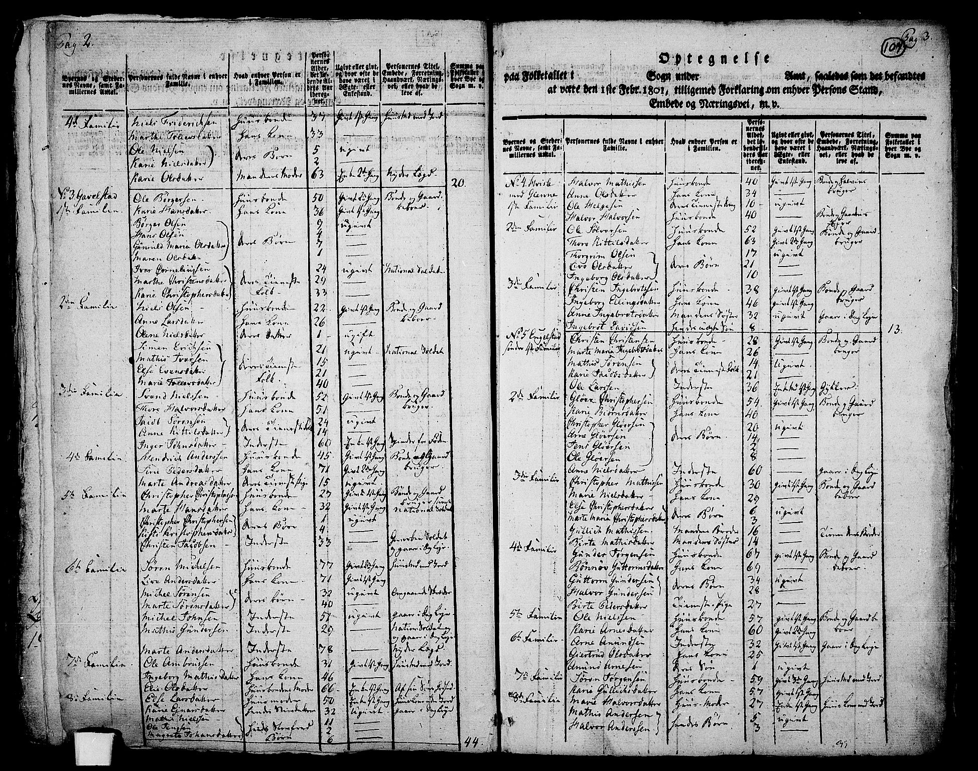 RA, 1801 census for 0728P Lardal, 1801, p. 106b-107a