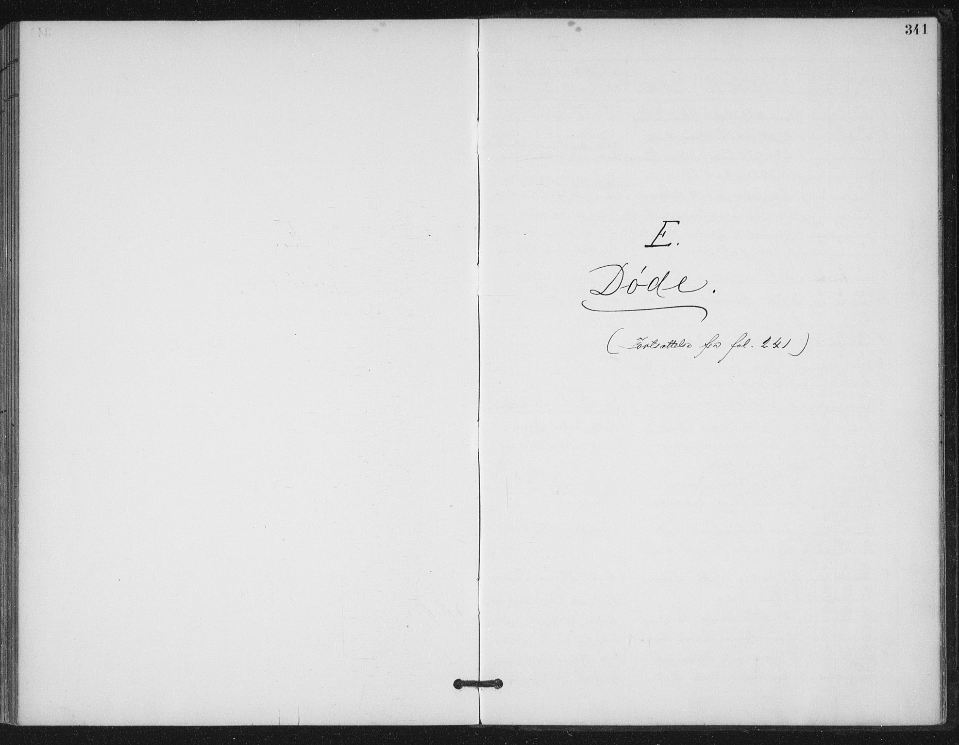 Ministerialprotokoller, klokkerbøker og fødselsregistre - Møre og Romsdal, AV/SAT-A-1454/529/L0457: Parish register (official) no. 529A07, 1894-1903, p. 341