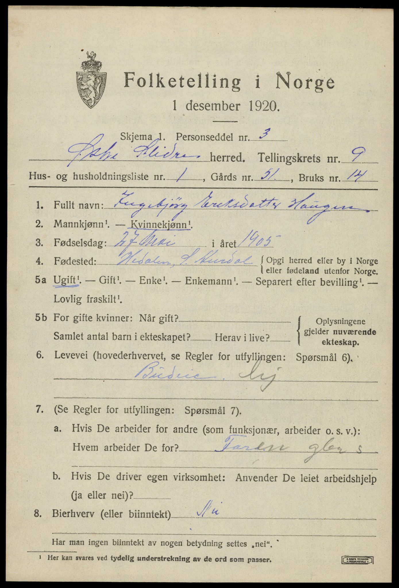 SAH, 1920 census for Øystre Slidre, 1920, p. 5885