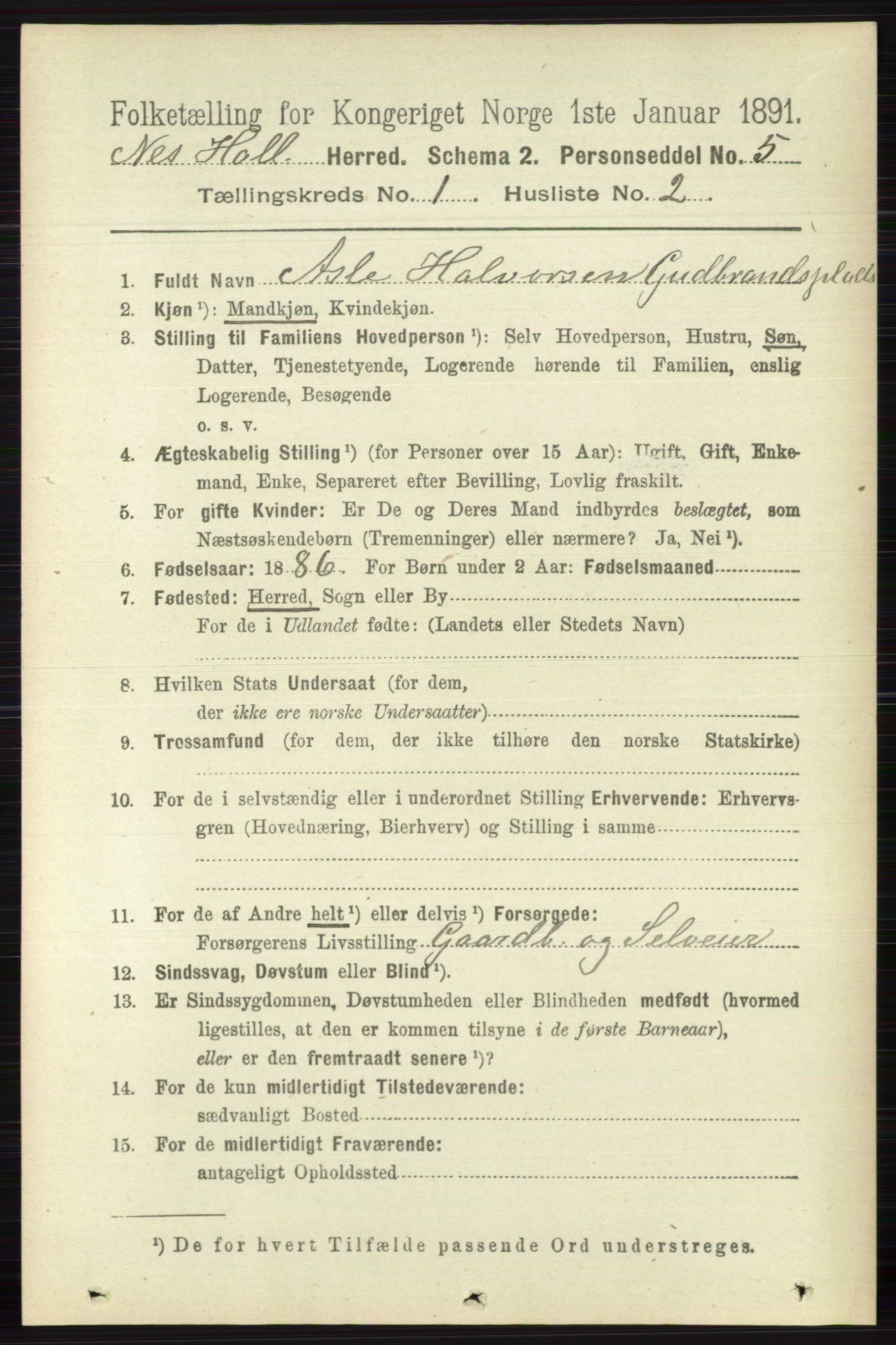 RA, 1891 census for 0616 Nes, 1891, p. 183