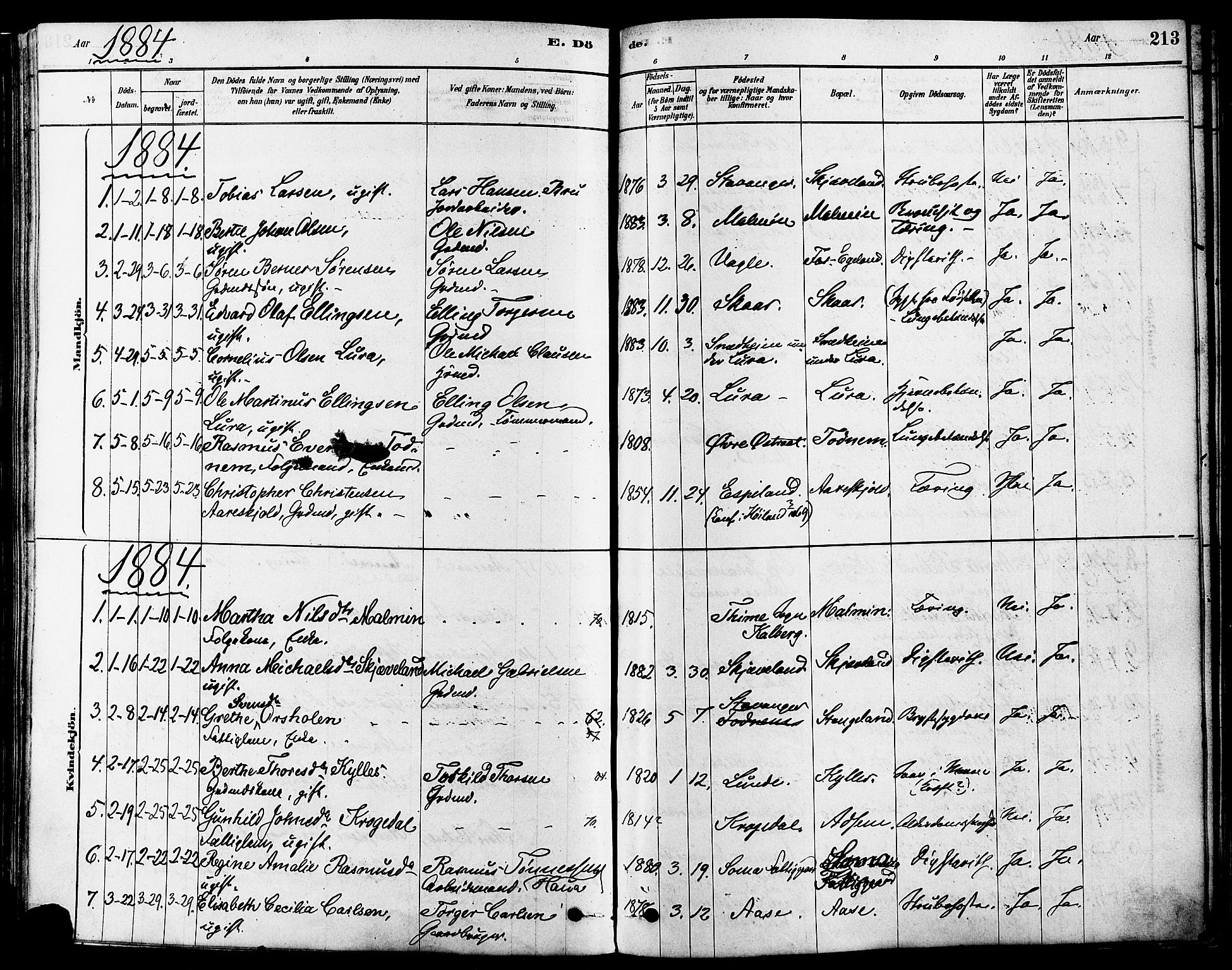 Høyland sokneprestkontor, SAST/A-101799/001/30BA/L0011: Parish register (official) no. A 10, 1878-1888, p. 213