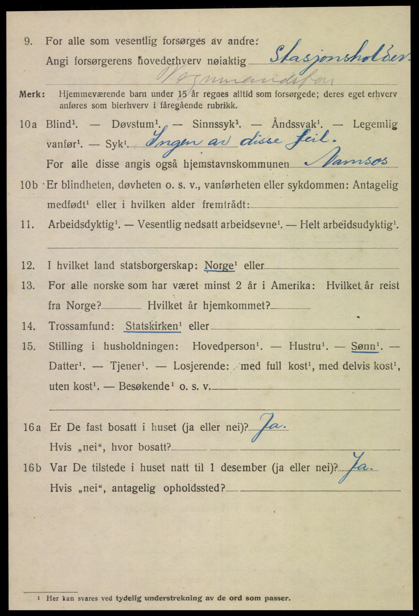 SAT, 1920 census for Namsos, 1920, p. 4810