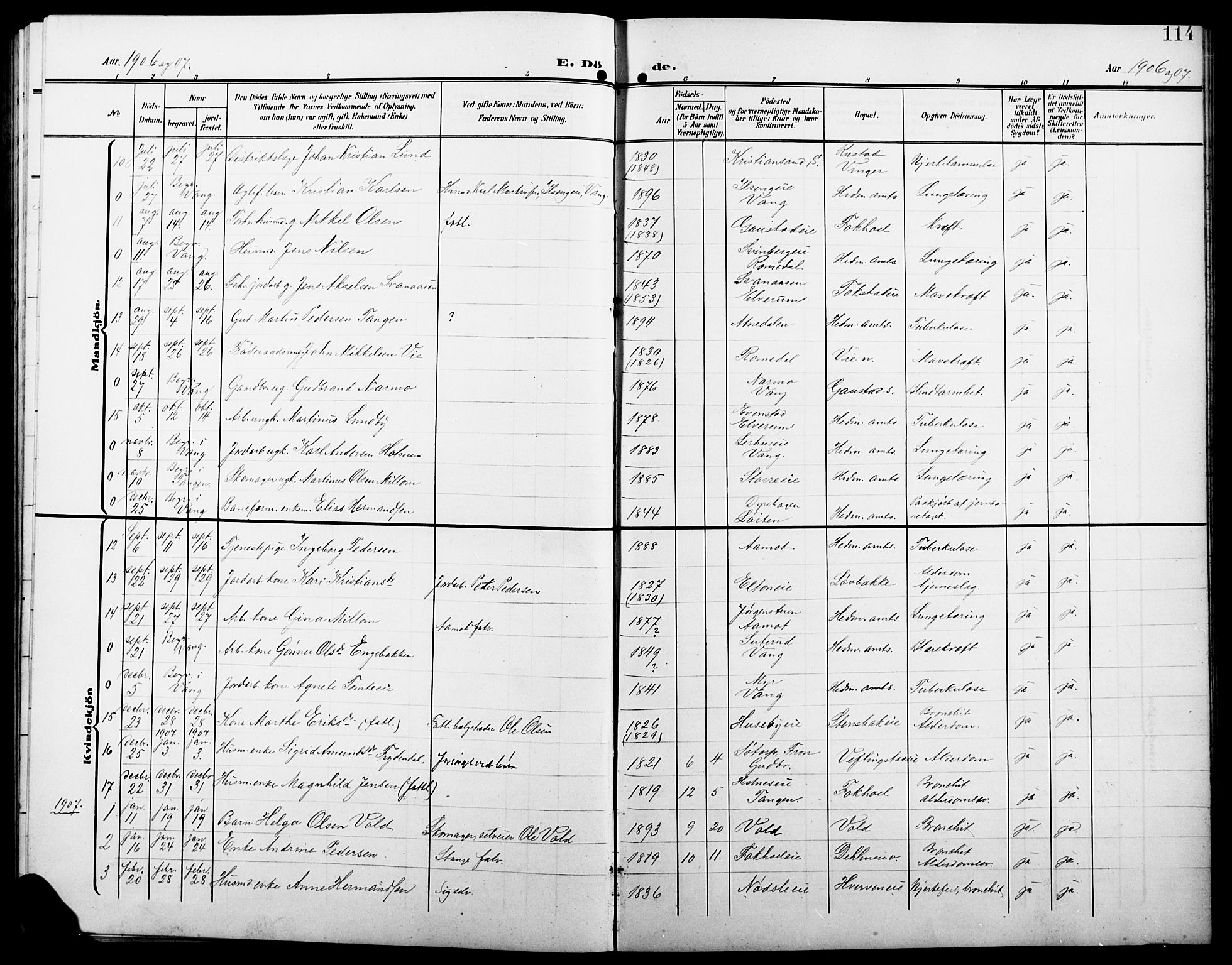 Stange prestekontor, SAH/PREST-002/L/L0013: Parish register (copy) no. 13, 1906-1915, p. 114