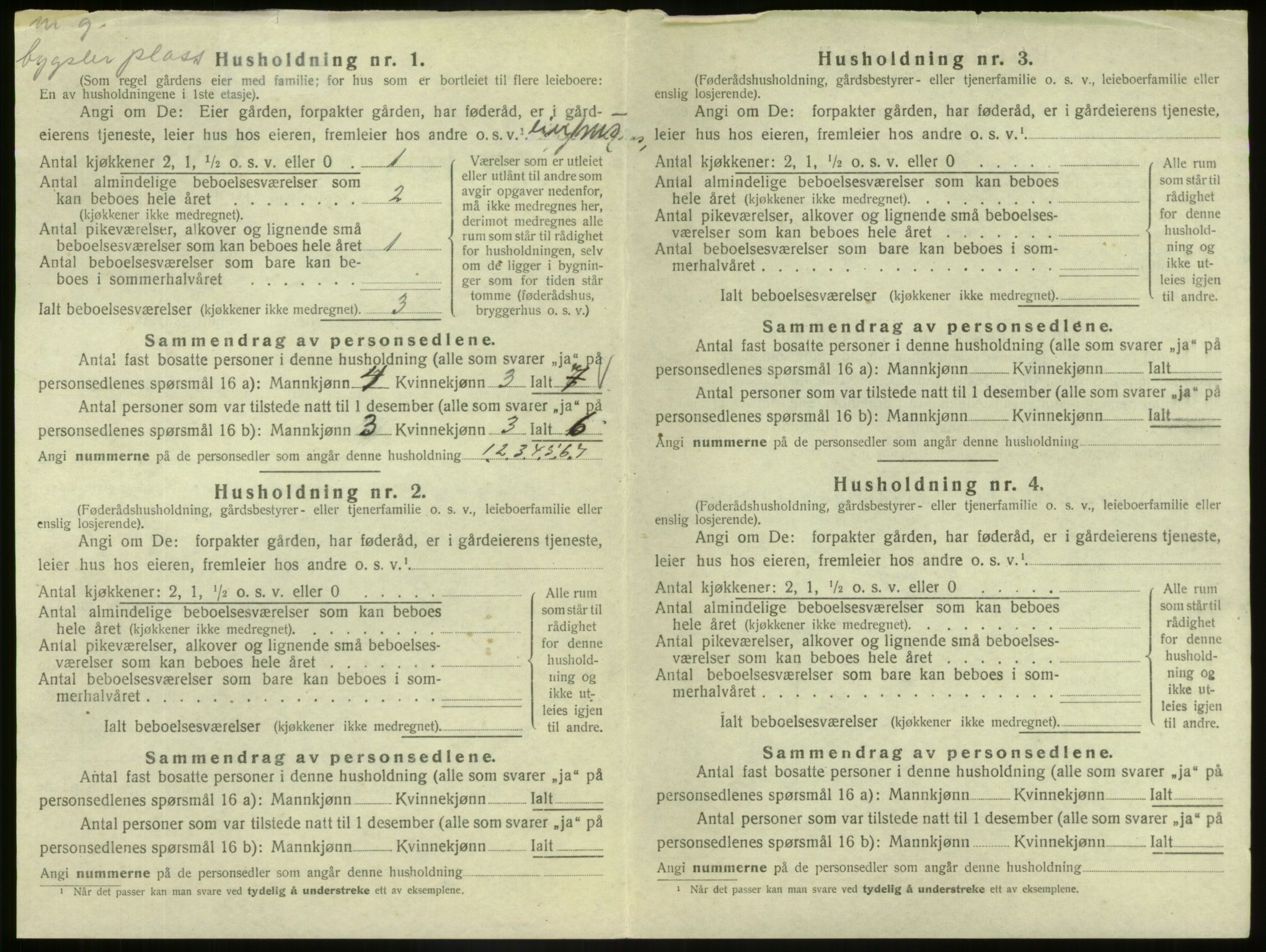 SAB, 1920 census for Hafslo, 1920, p. 304