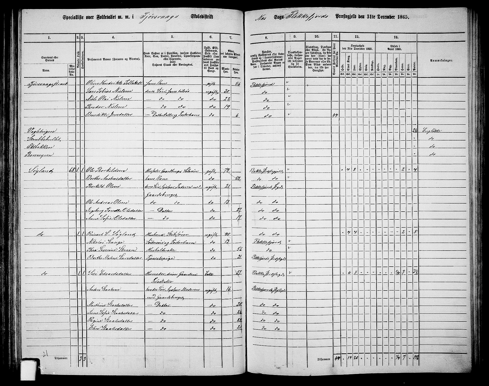 RA, 1865 census for Flekkefjord/Nes og Hidra, 1865, p. 105