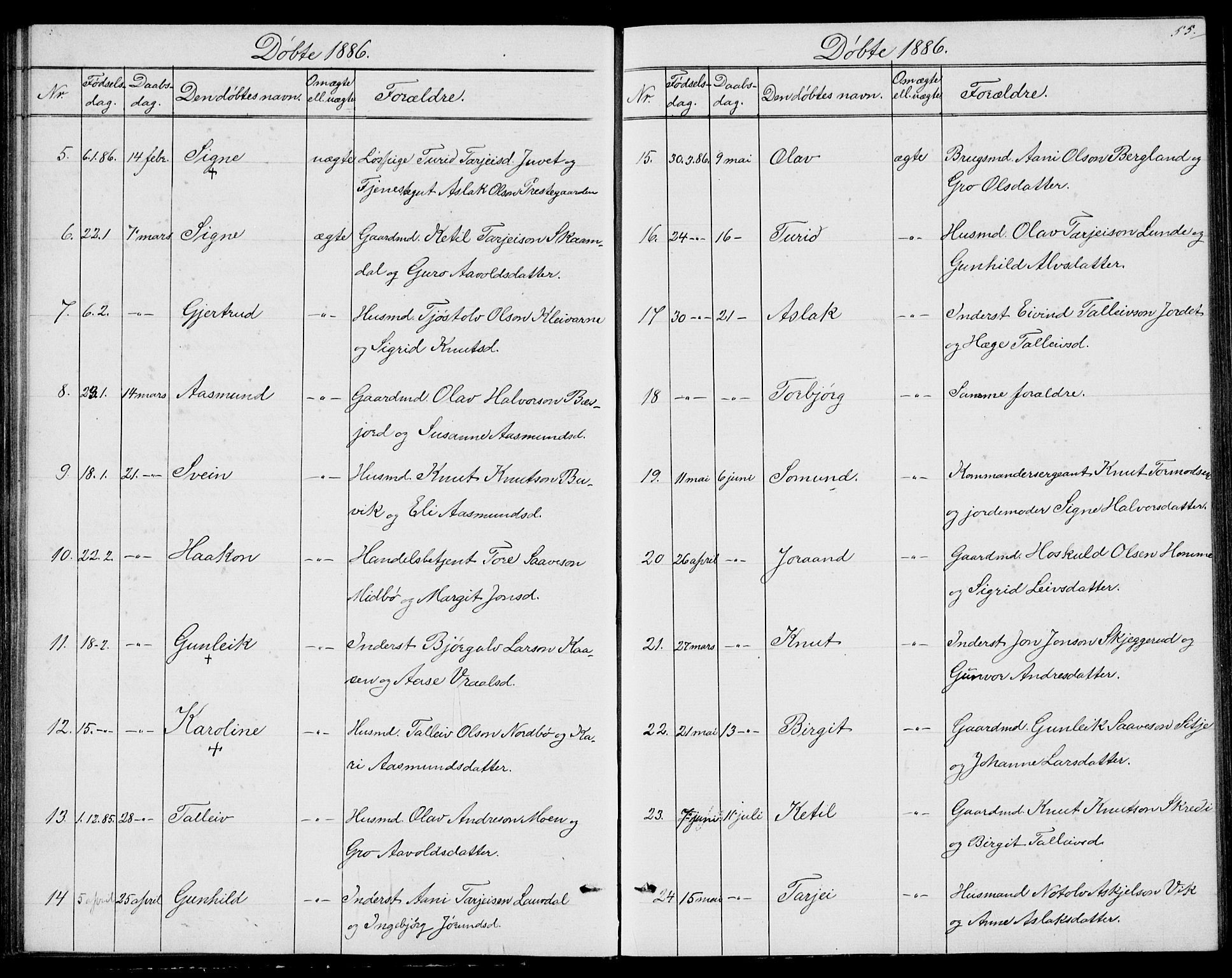 Fyresdal kirkebøker, SAKO/A-263/G/Ga/L0004: Parish register (copy) no. I 4, 1864-1892, p. 55