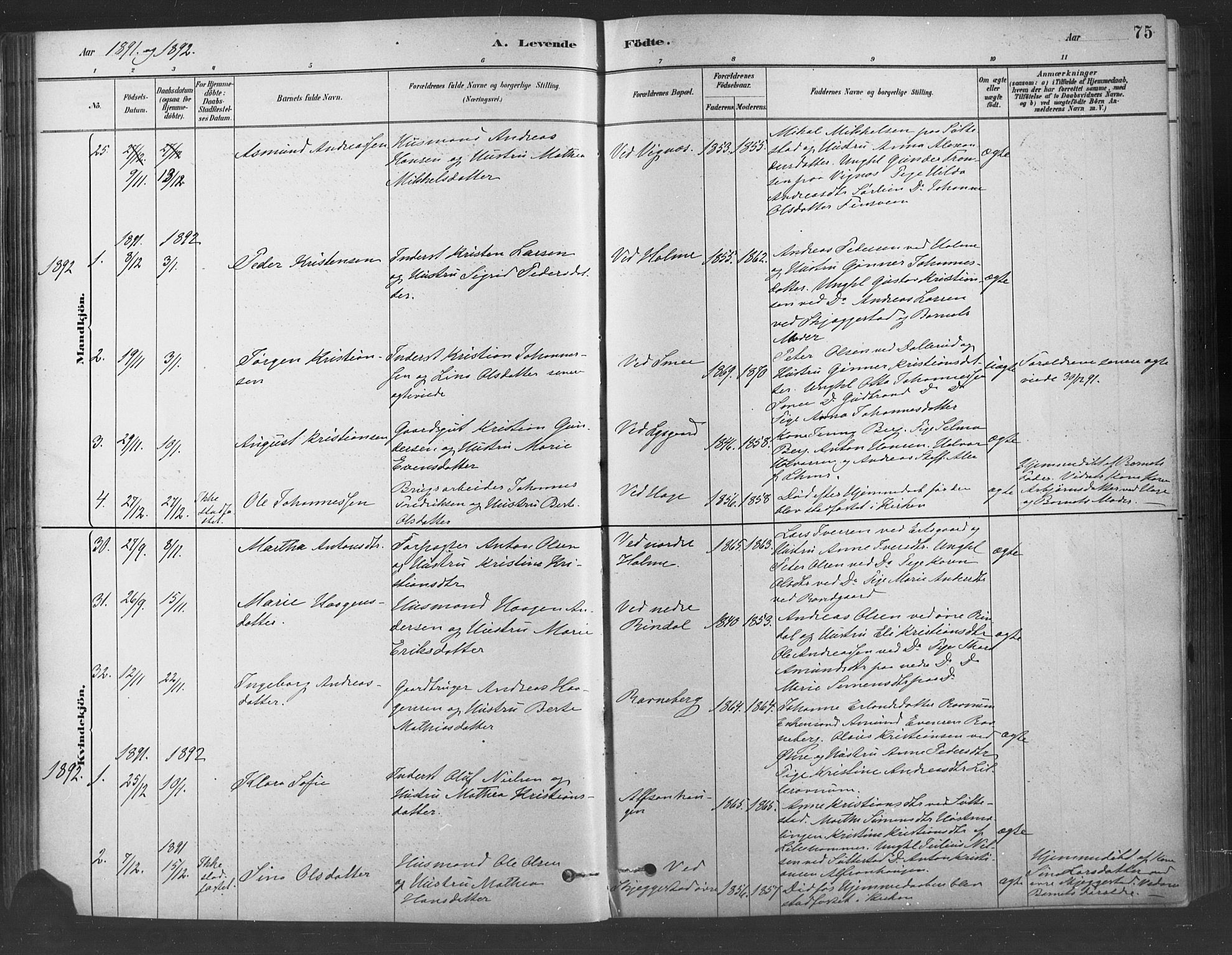 Fåberg prestekontor, SAH/PREST-086/H/Ha/Haa/L0009: Parish register (official) no. 9, 1879-1898, p. 75