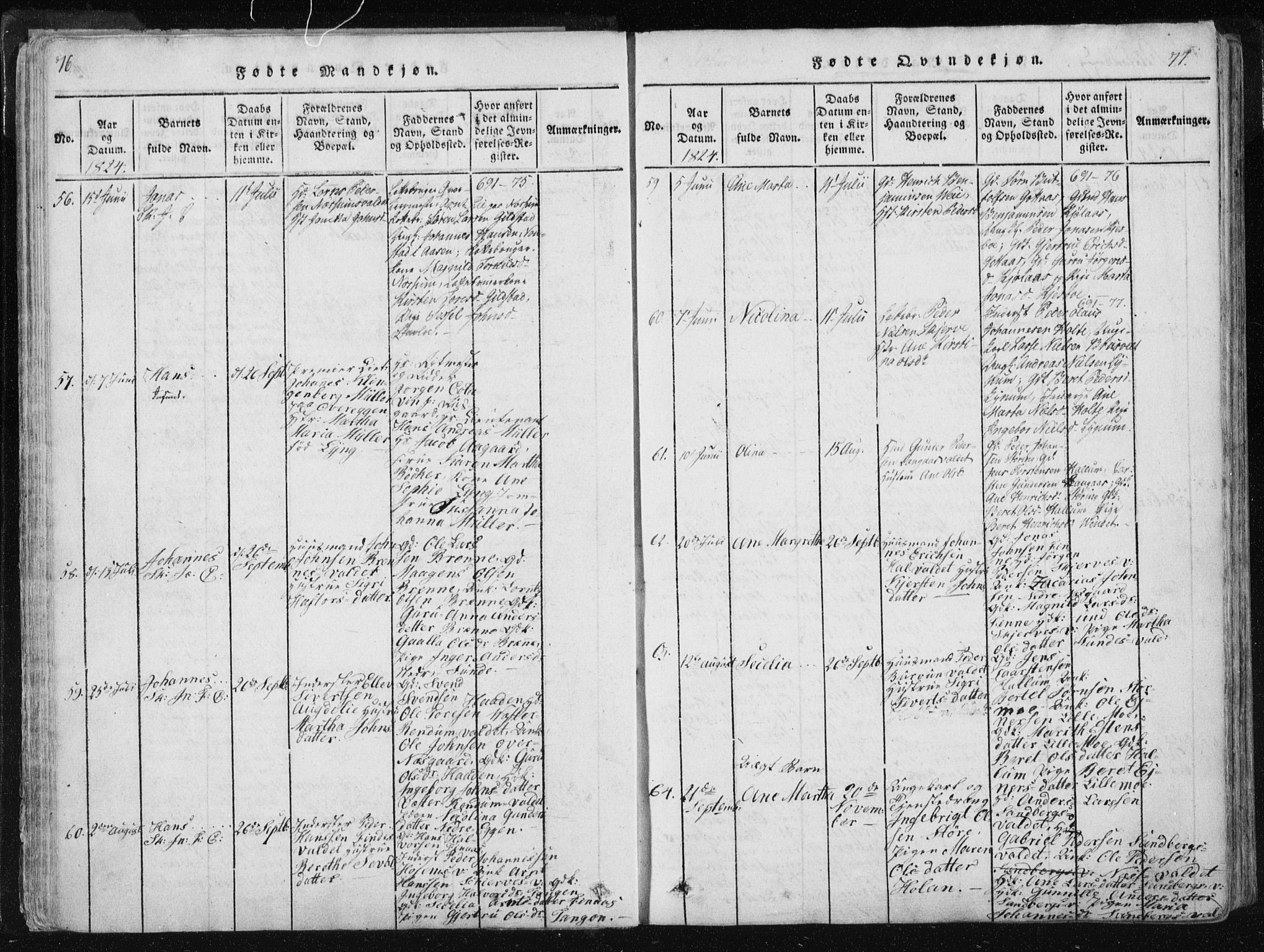 Ministerialprotokoller, klokkerbøker og fødselsregistre - Nord-Trøndelag, SAT/A-1458/717/L0148: Parish register (official) no. 717A04 /1, 1816-1825, p. 76-77