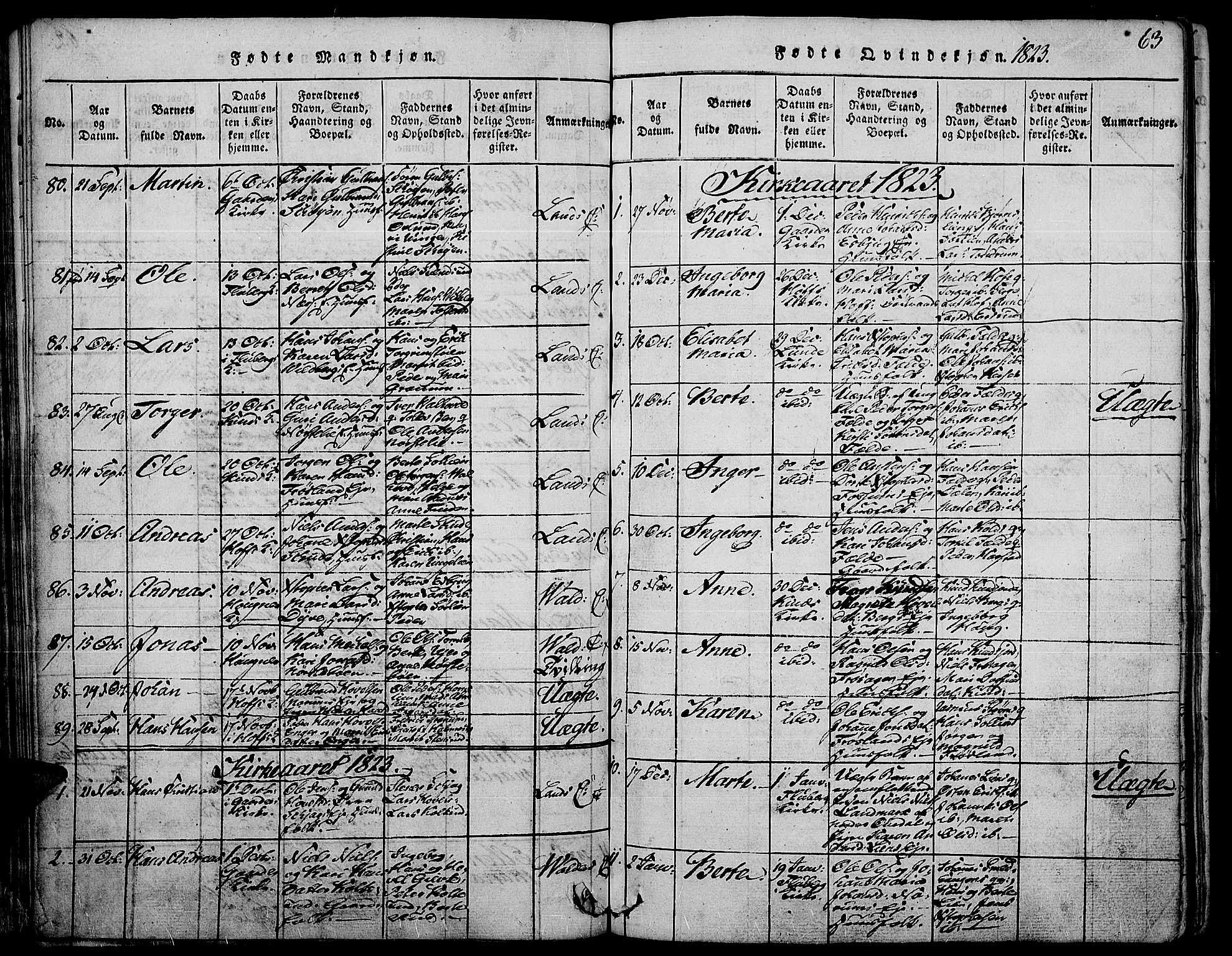 Land prestekontor, SAH/PREST-120/H/Ha/Haa/L0007: Parish register (official) no. 7, 1814-1830, p. 63