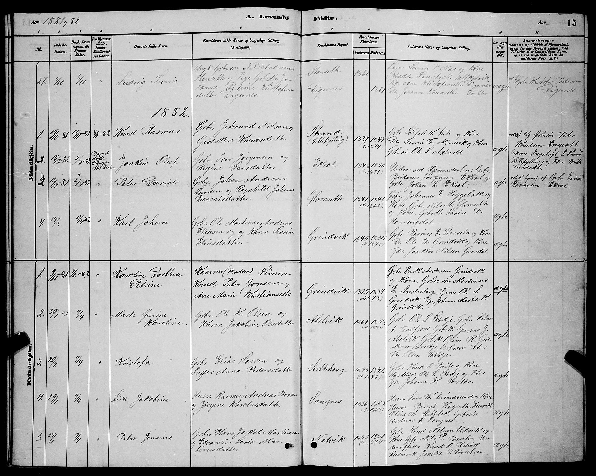 Ministerialprotokoller, klokkerbøker og fødselsregistre - Møre og Romsdal, SAT/A-1454/524/L0365: Parish register (copy) no. 524C06, 1880-1899, p. 15