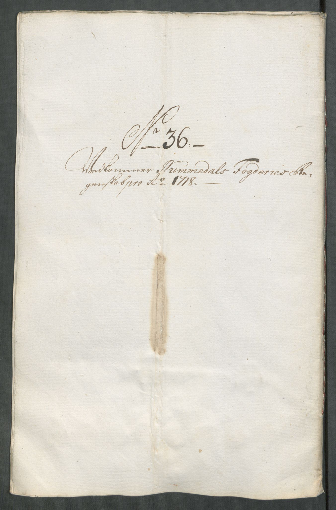 Rentekammeret inntil 1814, Reviderte regnskaper, Fogderegnskap, AV/RA-EA-4092/R64/L4439: Fogderegnskap Namdal, 1718, p. 226