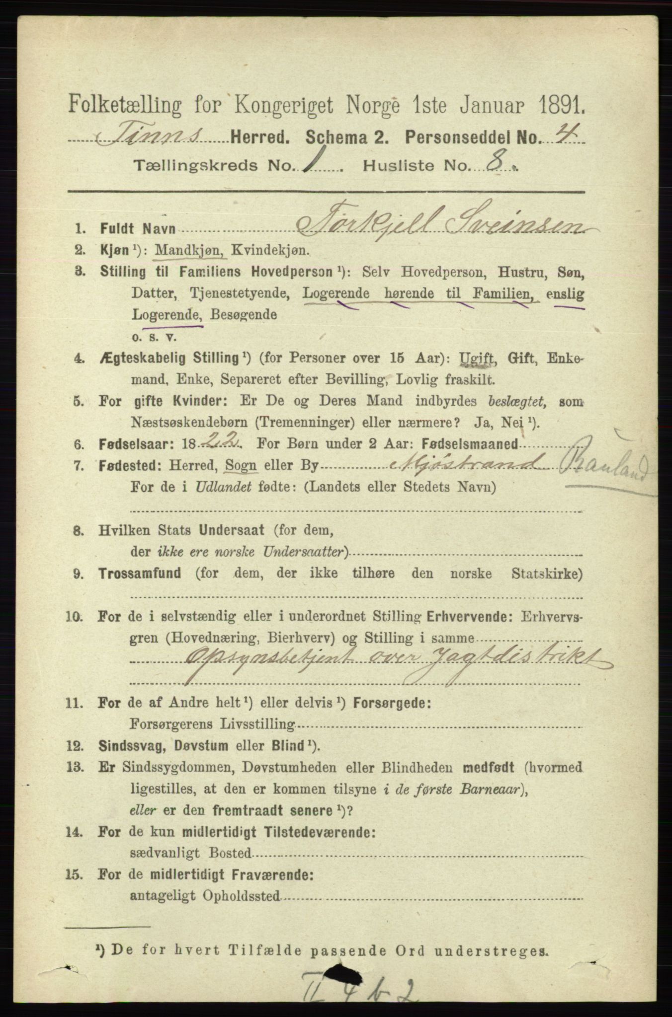 RA, 1891 census for 0826 Tinn, 1891, p. 86