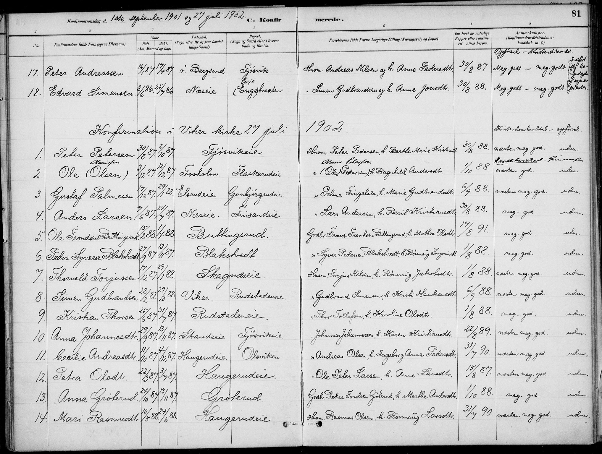 Ådal kirkebøker, AV/SAKO-A-248/F/Fa/L0003: Parish register (official) no. I 3, 1884-1903, p. 81