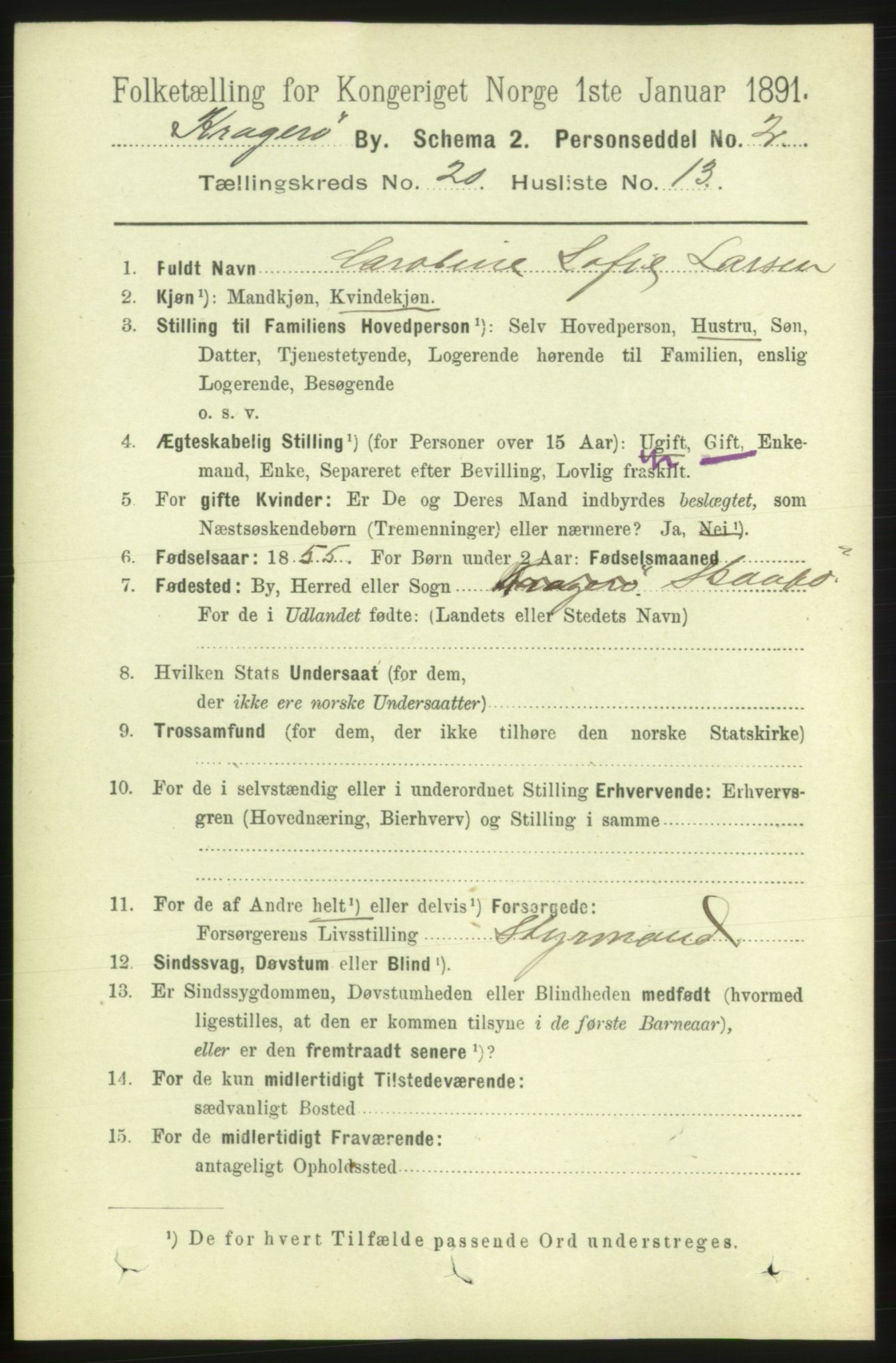 RA, 1891 census for 0801 Kragerø, 1891, p. 4696