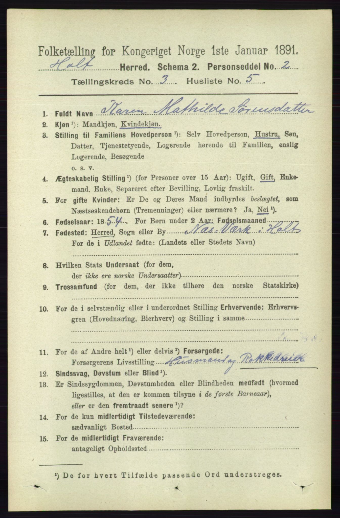 RA, 1891 census for 0914 Holt, 1891, p. 1065