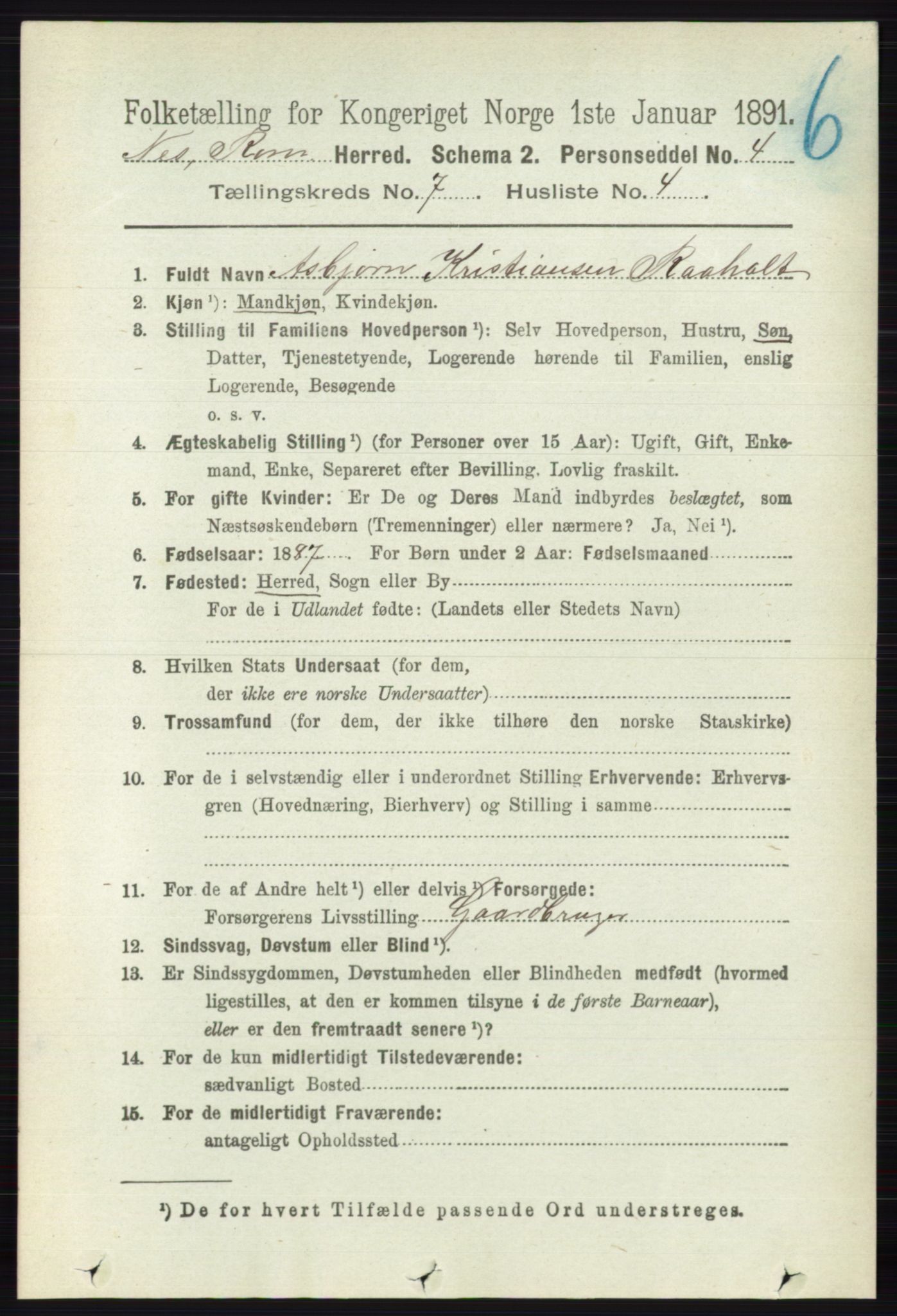 RA, 1891 census for 0236 Nes, 1891, p. 4045