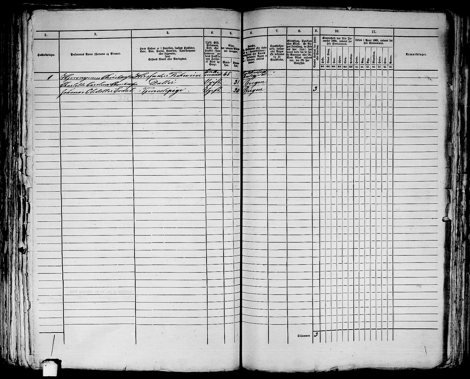 RA, 1865 census for Bergen, 1865, p. 3913