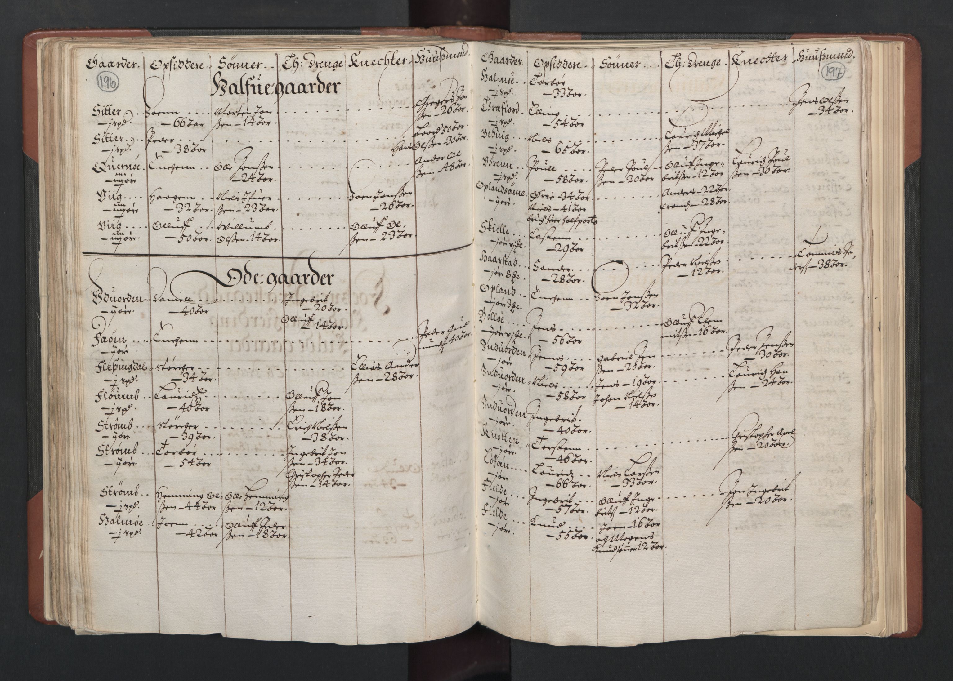 RA, Bailiff's Census 1664-1666, no. 19: Fosen fogderi, Inderøy fogderi, Selbu fogderi, Namdal fogderi and Stjørdal fogderi, 1664-1665, p. 196-197