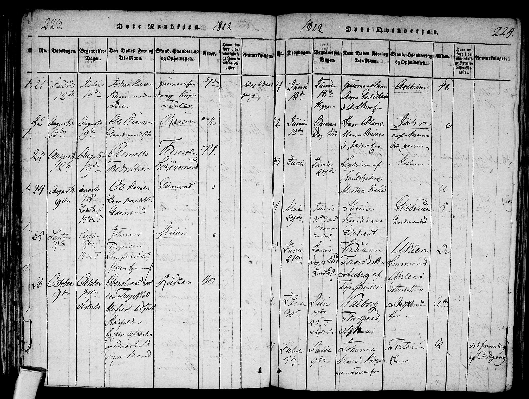 Modum kirkebøker, SAKO/A-234/F/Fa/L0004: Parish register (official) no. 4, 1818-1824, p. 223-224