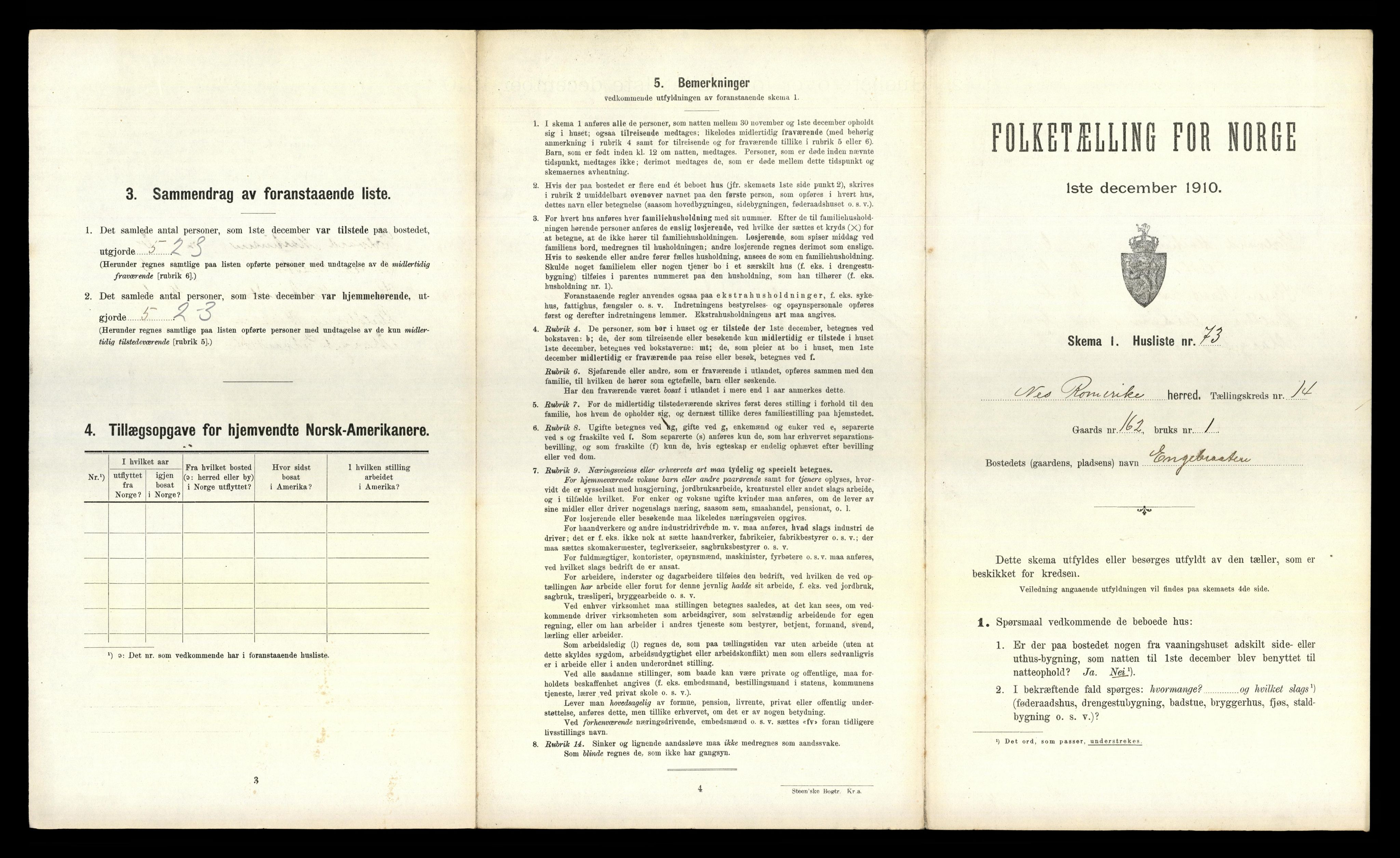 RA, 1910 census for Nes, 1910, p. 2020