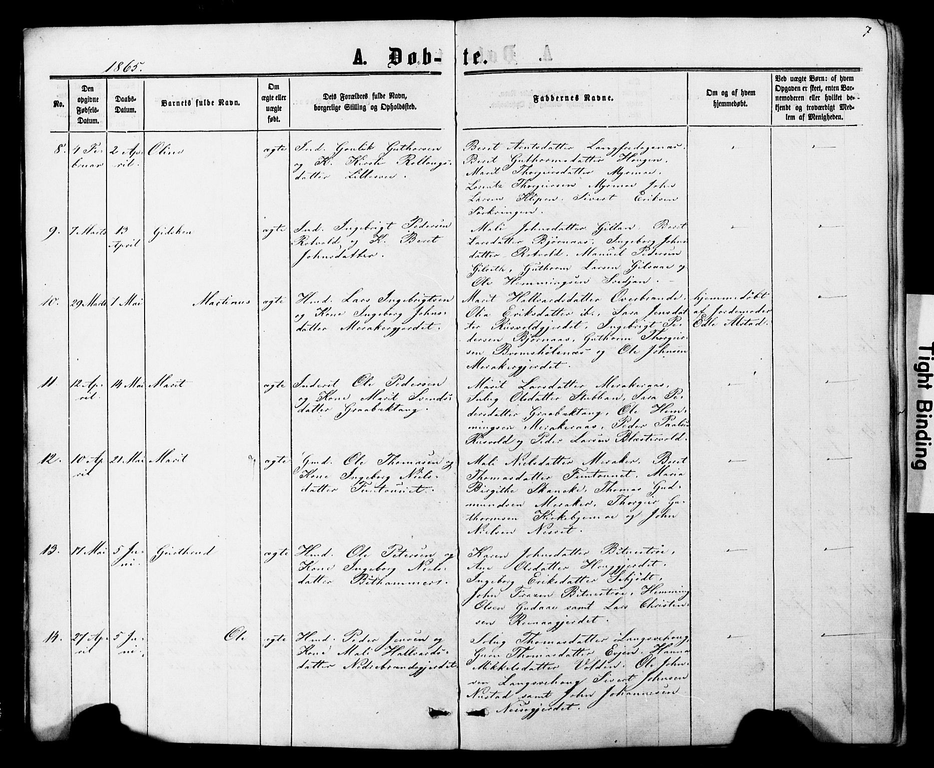 Ministerialprotokoller, klokkerbøker og fødselsregistre - Nord-Trøndelag, AV/SAT-A-1458/706/L0049: Parish register (copy) no. 706C01, 1864-1895, p. 7