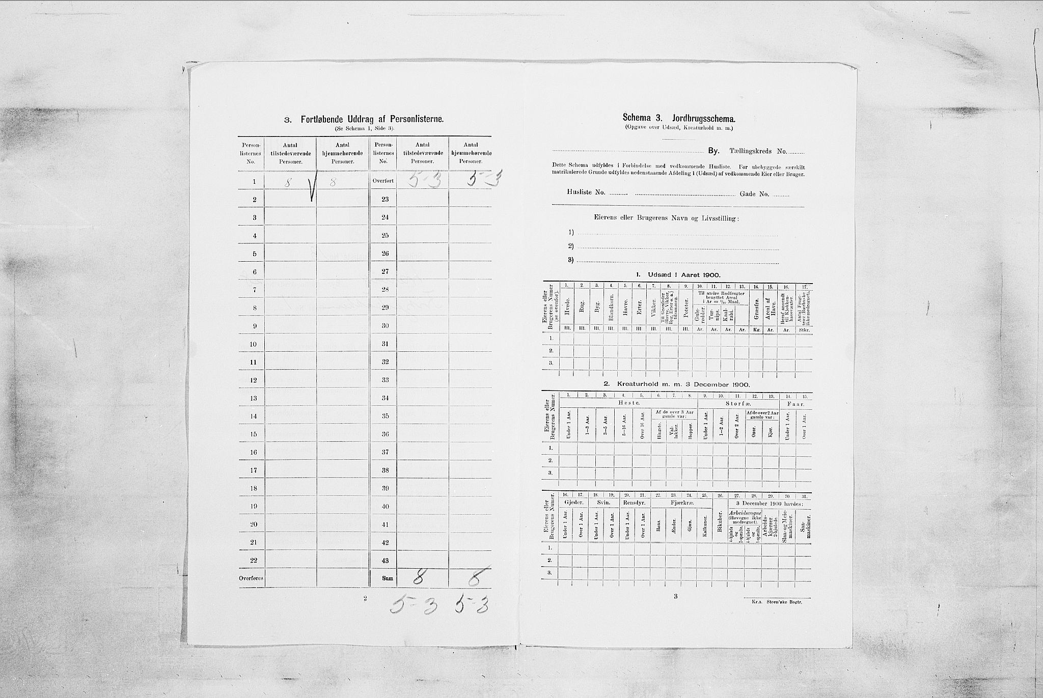 RA, 1900 census for Larvik, 1900, p. 7036
