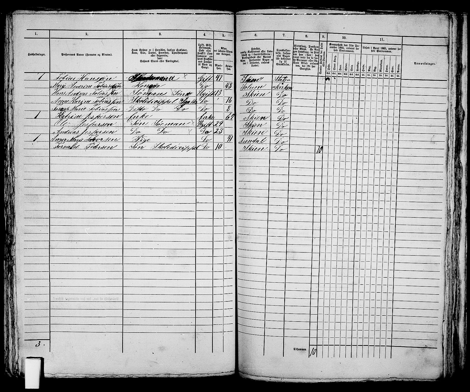 RA, 1865 census for Skien, 1865, p. 252