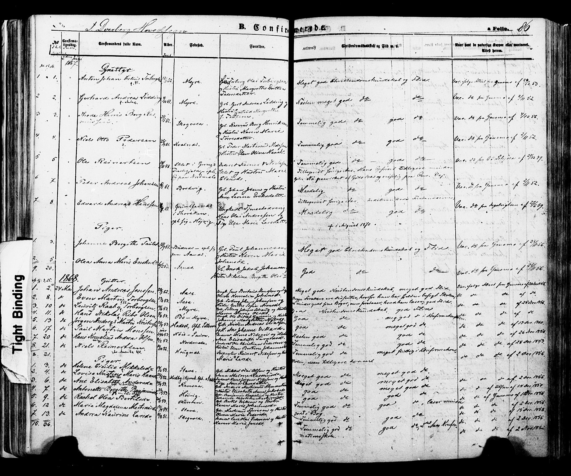 Ministerialprotokoller, klokkerbøker og fødselsregistre - Nordland, SAT/A-1459/897/L1397: Parish register (official) no. 897A05 /1, 1867-1880, p. 86