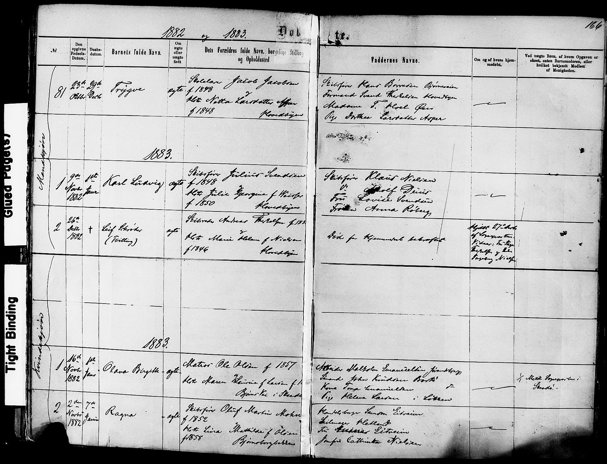 Kragerø kirkebøker, SAKO/A-278/F/Fa/L0011: Parish register (official) no. 11, 1875-1886, p. 166