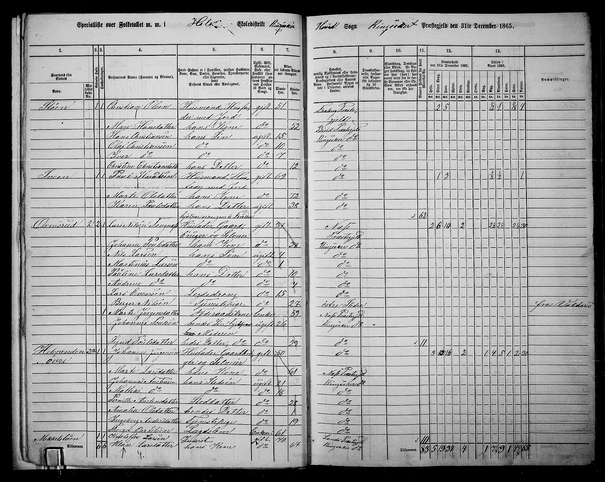 RA, 1865 census for Ringsaker, 1865, p. 24