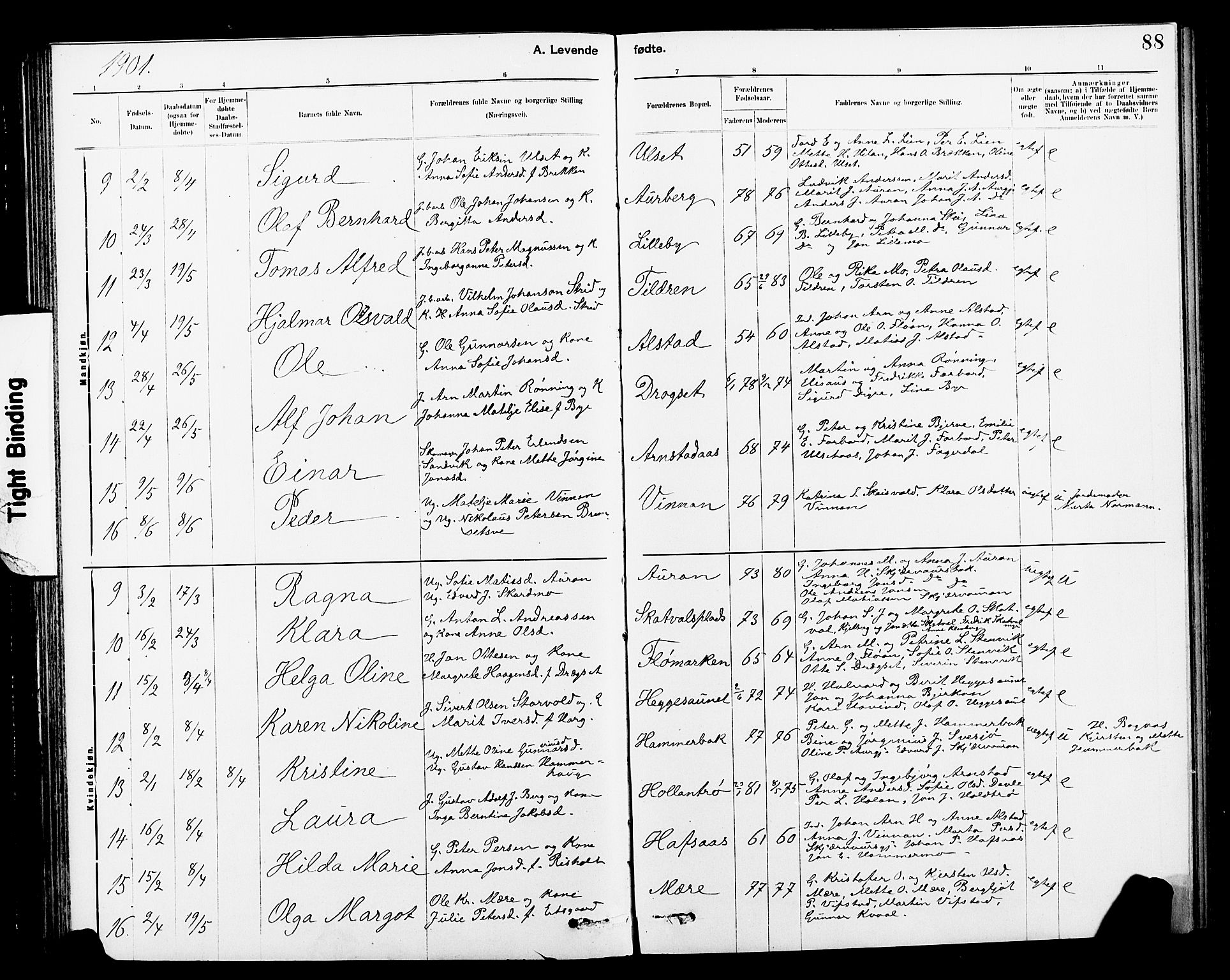 Ministerialprotokoller, klokkerbøker og fødselsregistre - Nord-Trøndelag, SAT/A-1458/712/L0103: Parish register (copy) no. 712C01, 1878-1917, p. 88