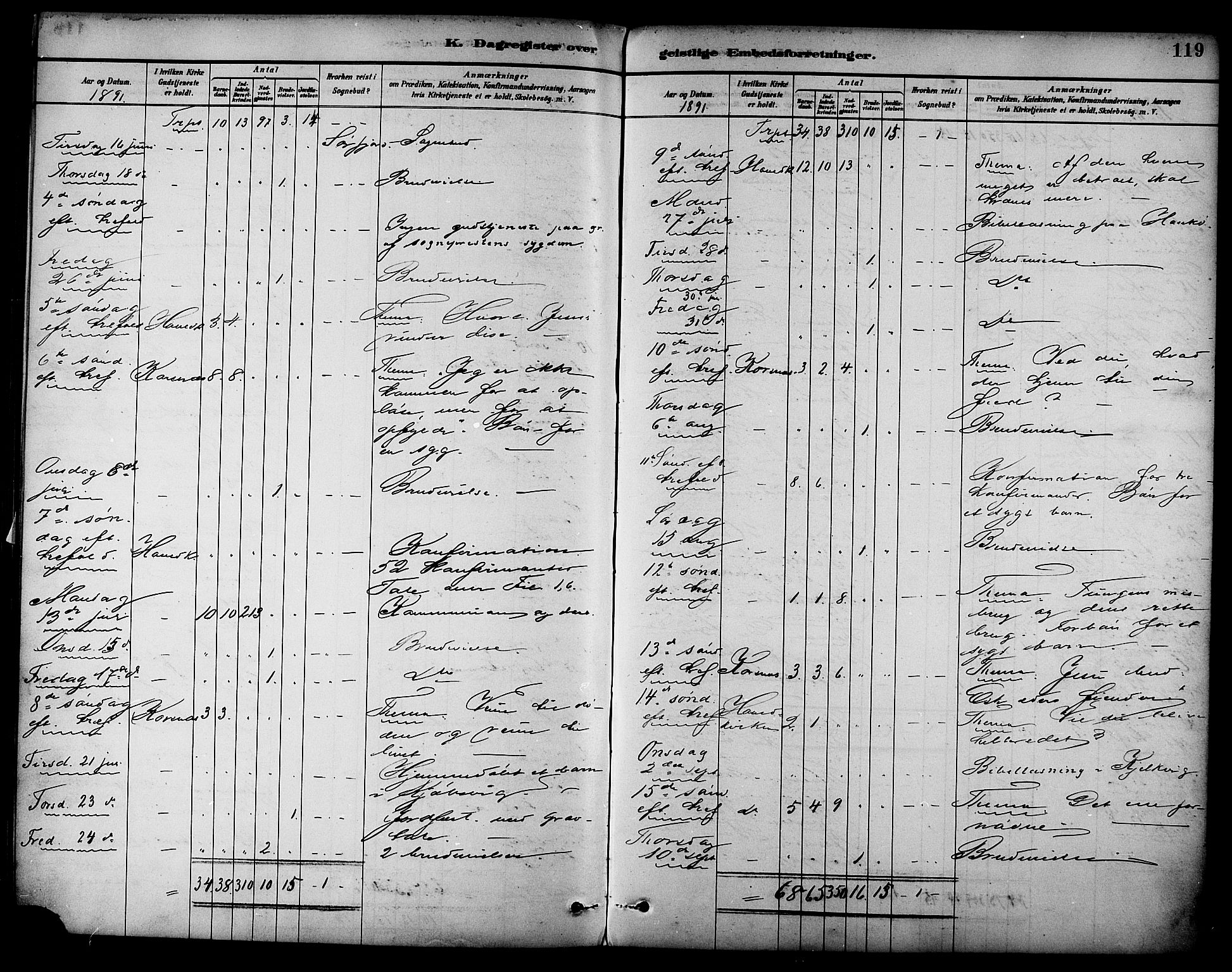 Ministerialprotokoller, klokkerbøker og fødselsregistre - Nordland, AV/SAT-A-1459/861/L0870: Parish register (official) no. 861A05, 1889-1903, p. 119