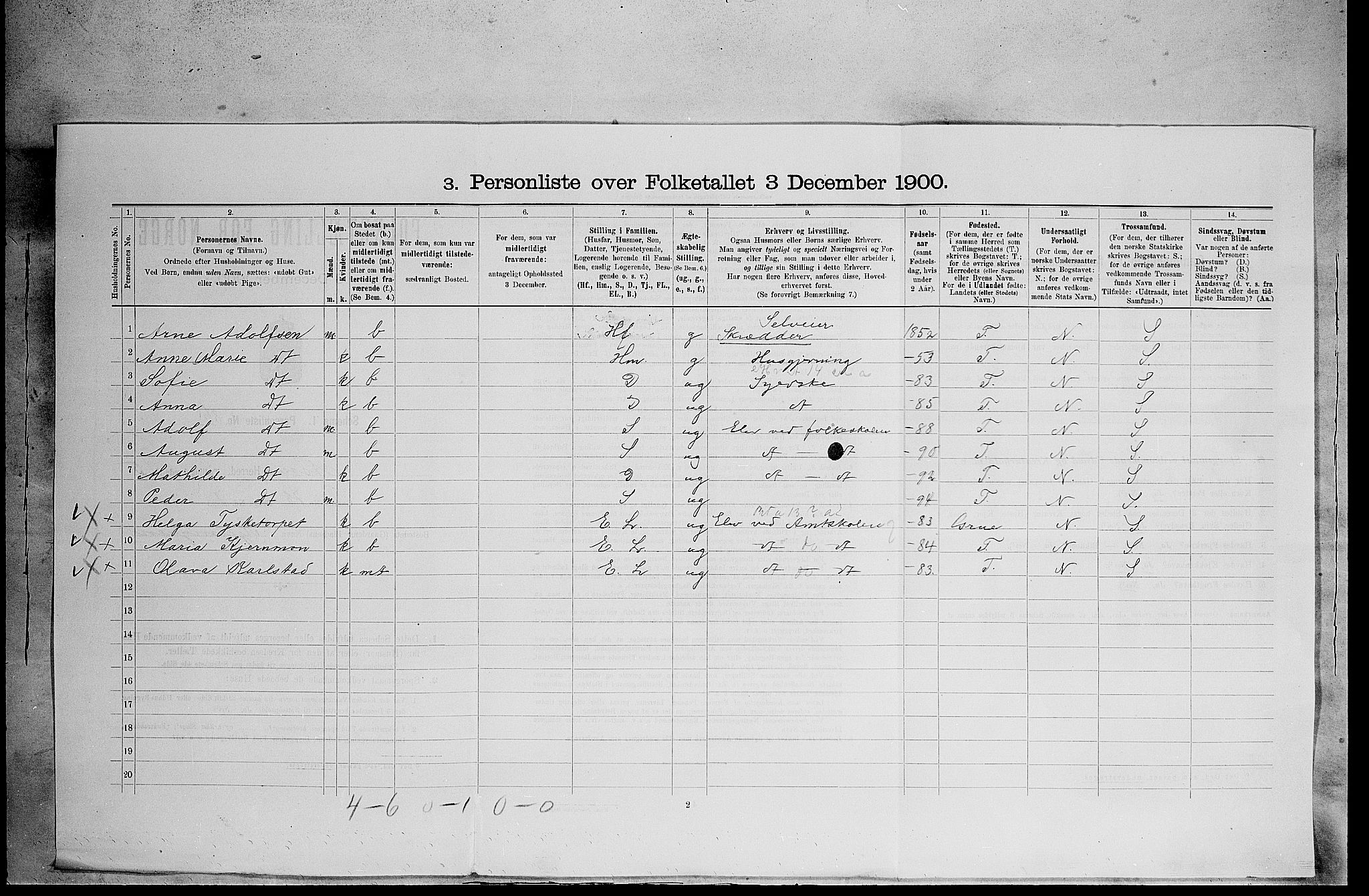 SAH, 1900 census for Åsnes, 1900, p. 1016