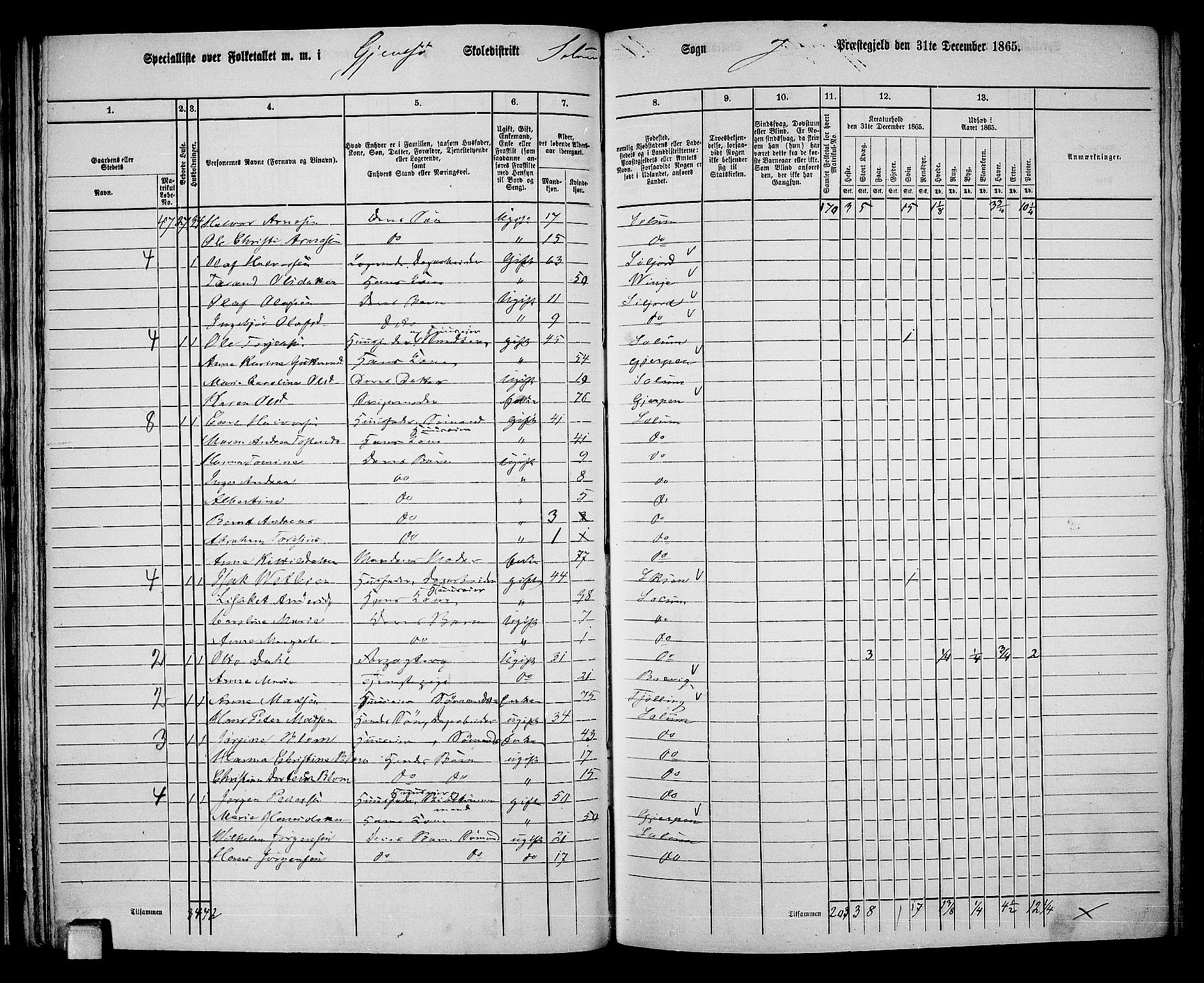 RA, 1865 census for Solum, 1865, p. 53