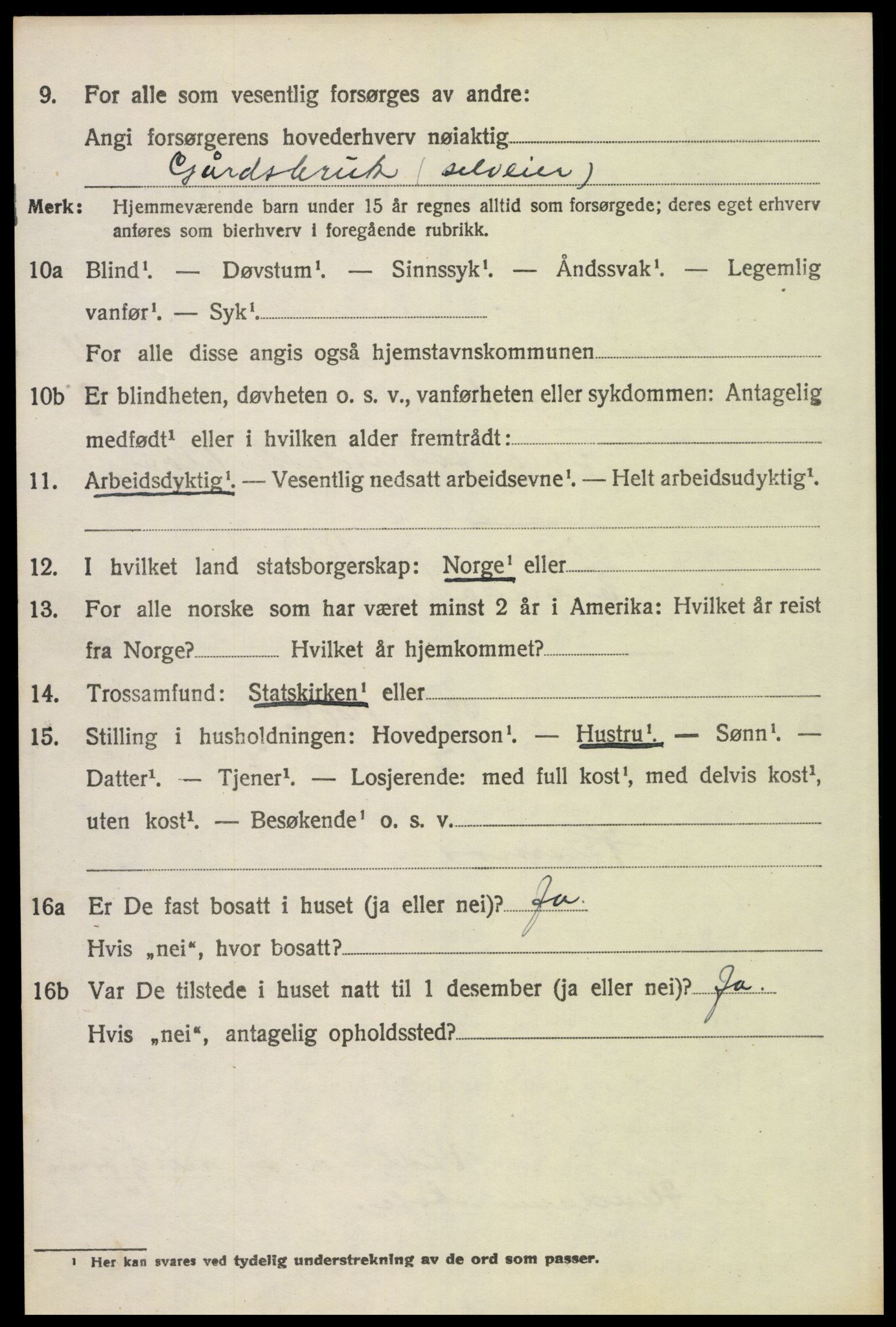 SAH, 1920 census for Trysil, 1920, p. 6960