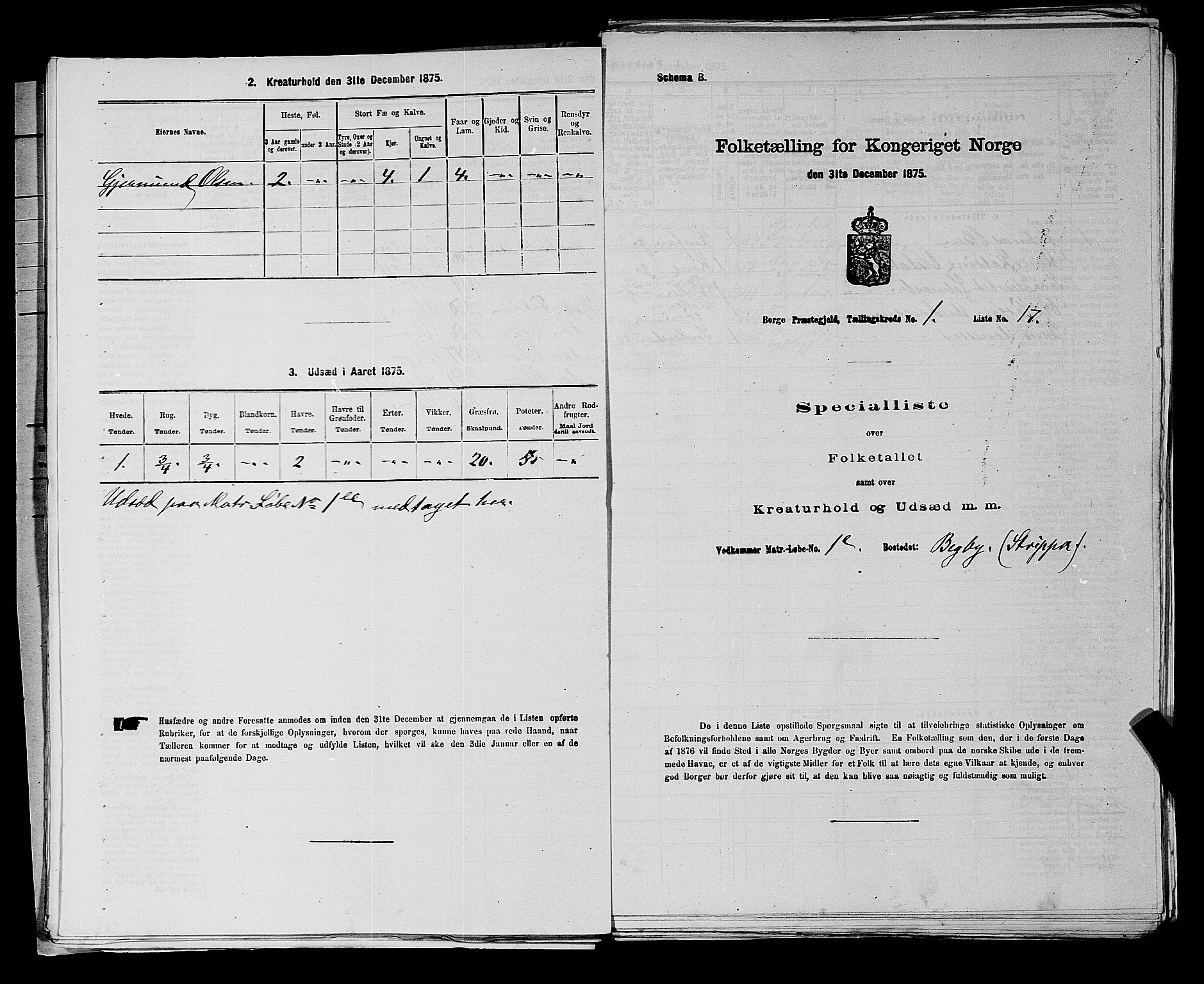 RA, 1875 census for 0113P Borge, 1875, p. 52