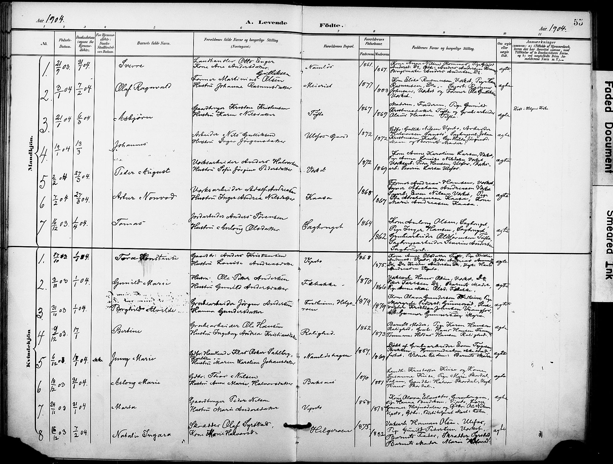 Holla kirkebøker, SAKO/A-272/F/Fa/L0010: Parish register (official) no. 10, 1897-1907, p. 55