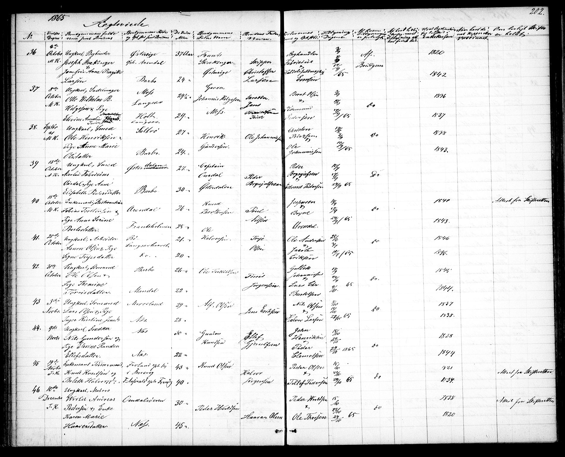 Tromøy sokneprestkontor, AV/SAK-1111-0041/F/Fb/L0003: Parish register (copy) no. B 3, 1859-1868, p. 202