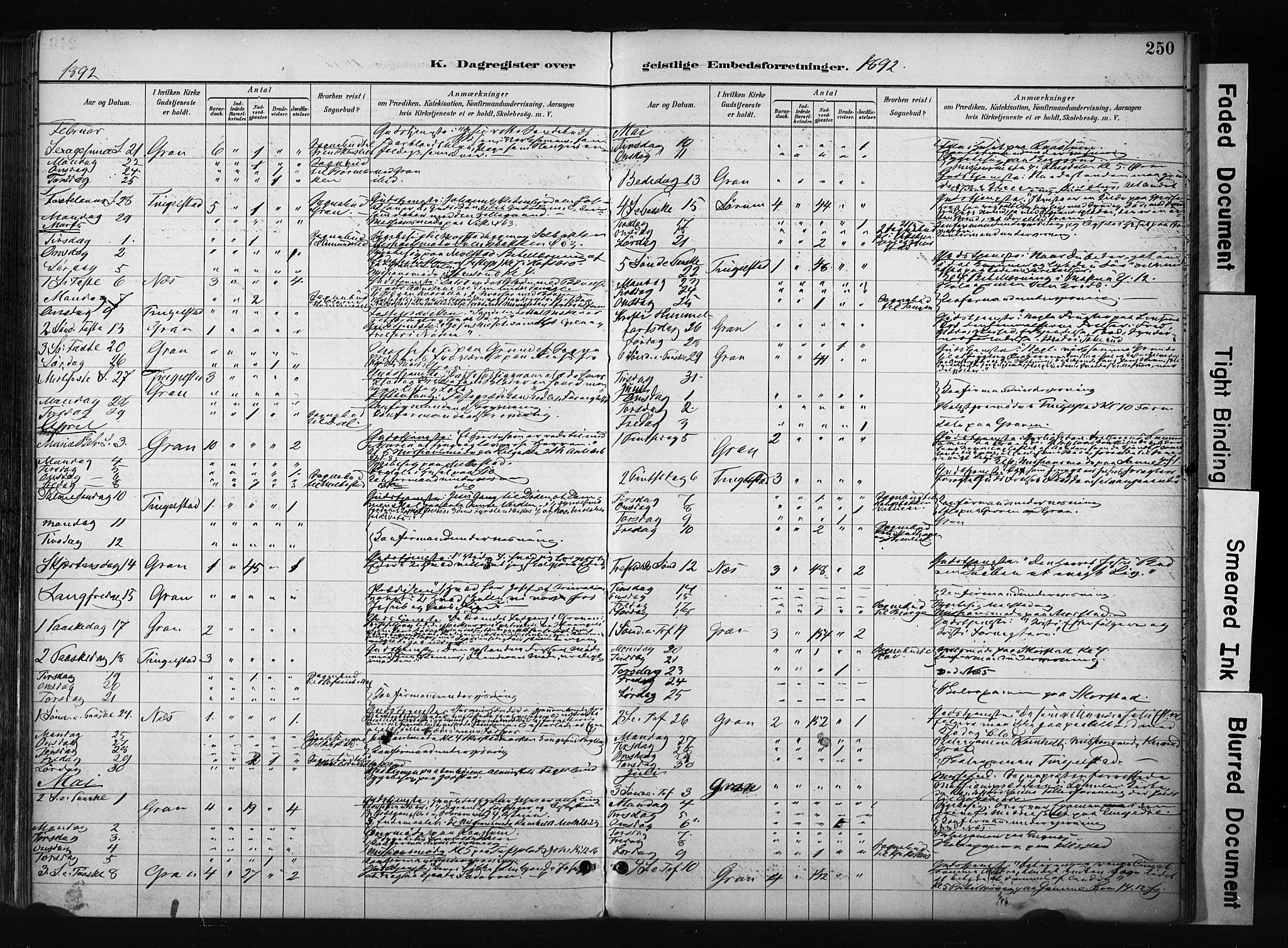 Gran prestekontor, AV/SAH-PREST-112/H/Ha/Haa/L0017: Parish register (official) no. 17, 1889-1897, p. 250