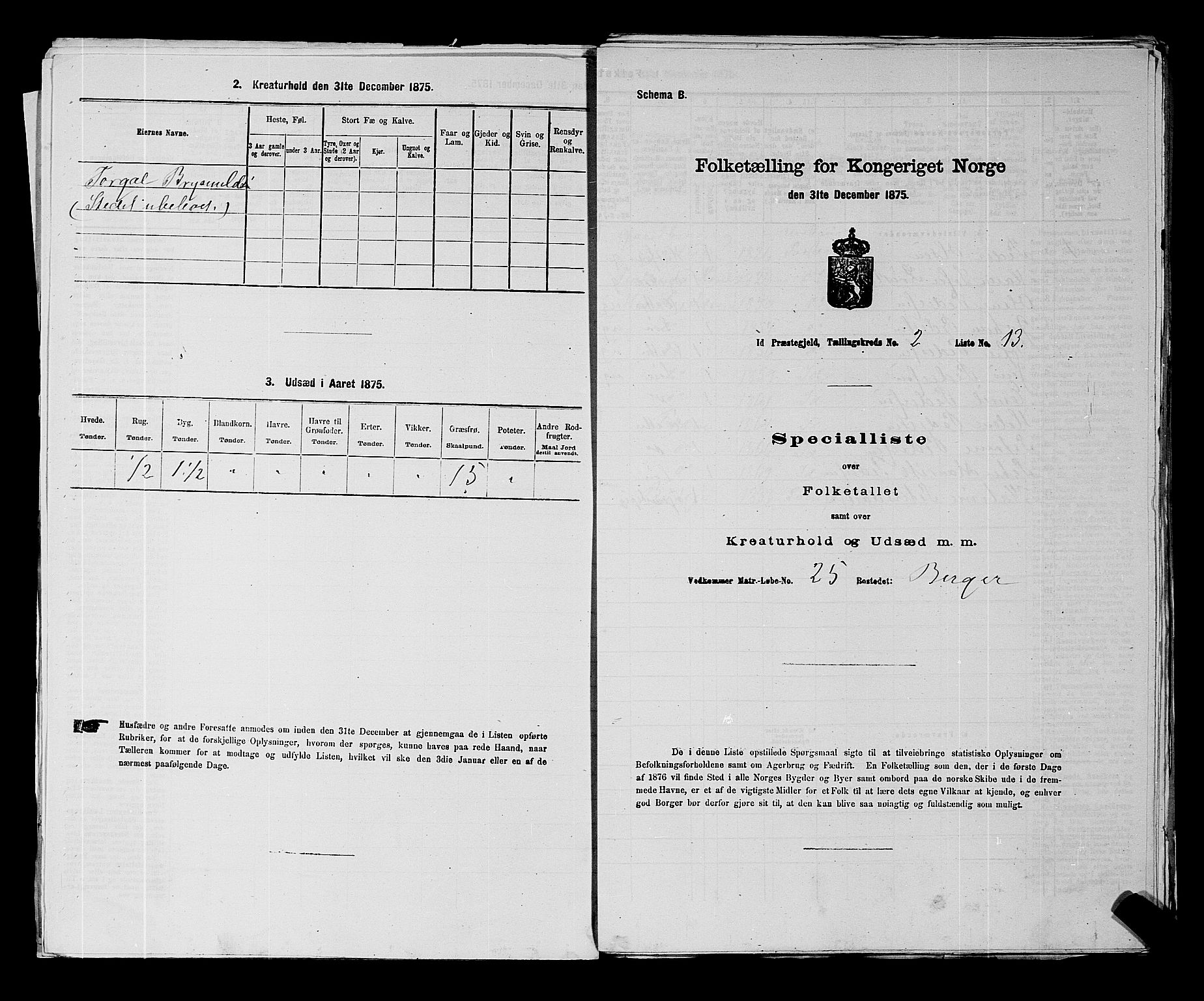 RA, 1875 census for 0117P Idd, 1875, p. 174