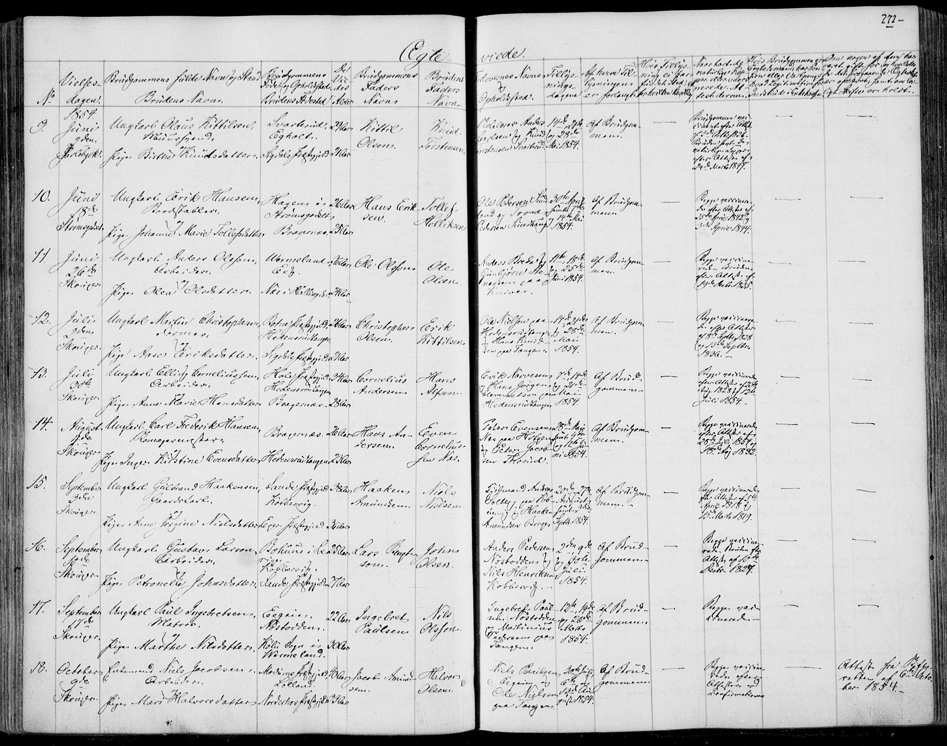 Skoger kirkebøker, SAKO/A-59/F/Fa/L0003: Parish register (official) no. I 3, 1842-1861, p. 272