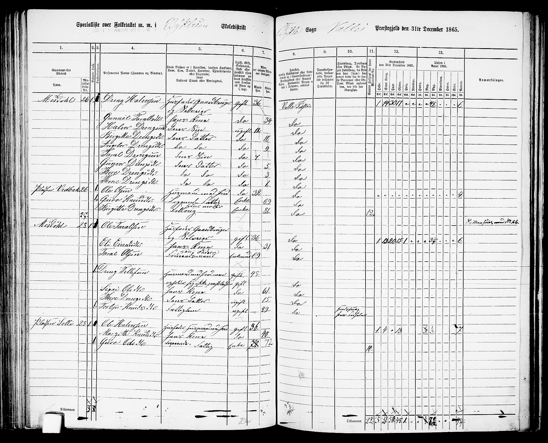 RA, 1865 census for Valle, 1865, p. 89