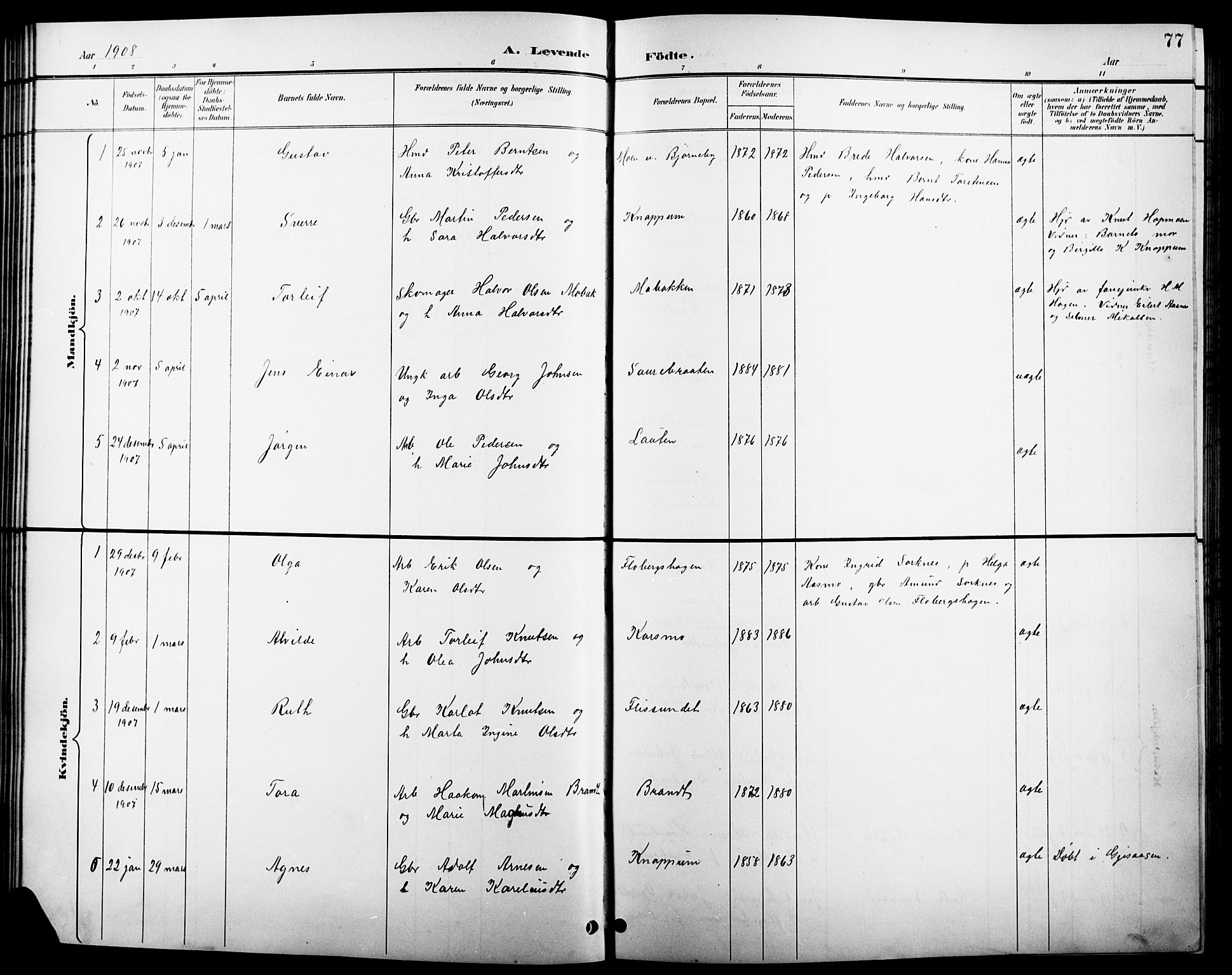 Åsnes prestekontor, SAH/PREST-042/H/Ha/Hab/L0004: Parish register (copy) no. 4, 1895-1909, p. 77