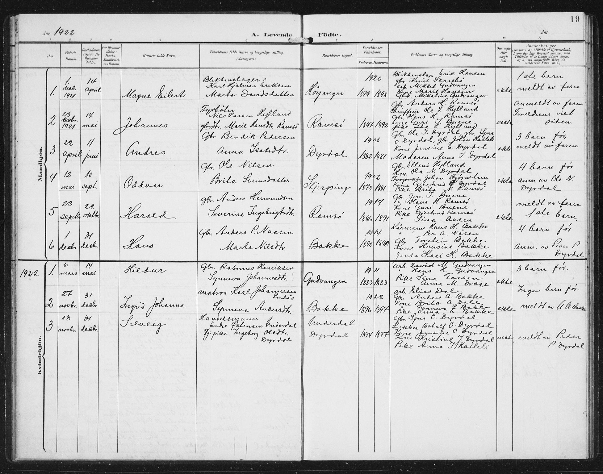 Aurland sokneprestembete, SAB/A-99937/H/Hb/Hbc/L0003: Parish register (copy) no. C 3, 1901-1933, p. 19