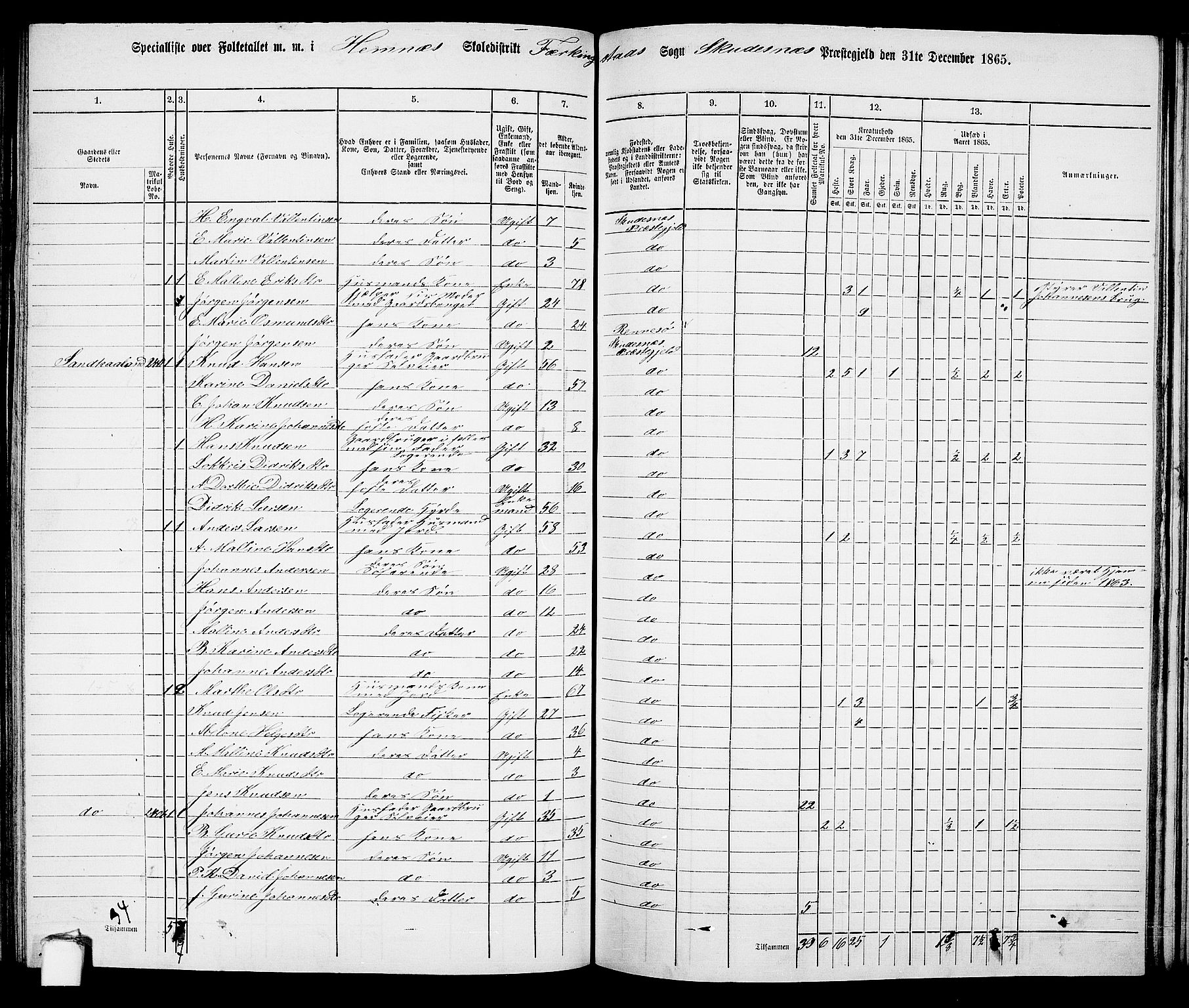 RA, 1865 census for Skudenes, 1865, p. 123