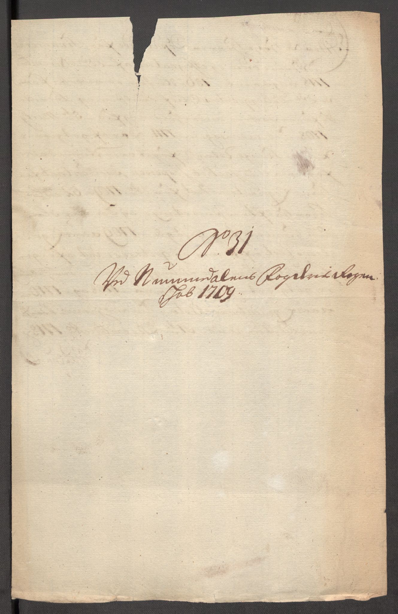 Rentekammeret inntil 1814, Reviderte regnskaper, Fogderegnskap, AV/RA-EA-4092/R64/L4431: Fogderegnskap Namdal, 1709-1710, p. 221