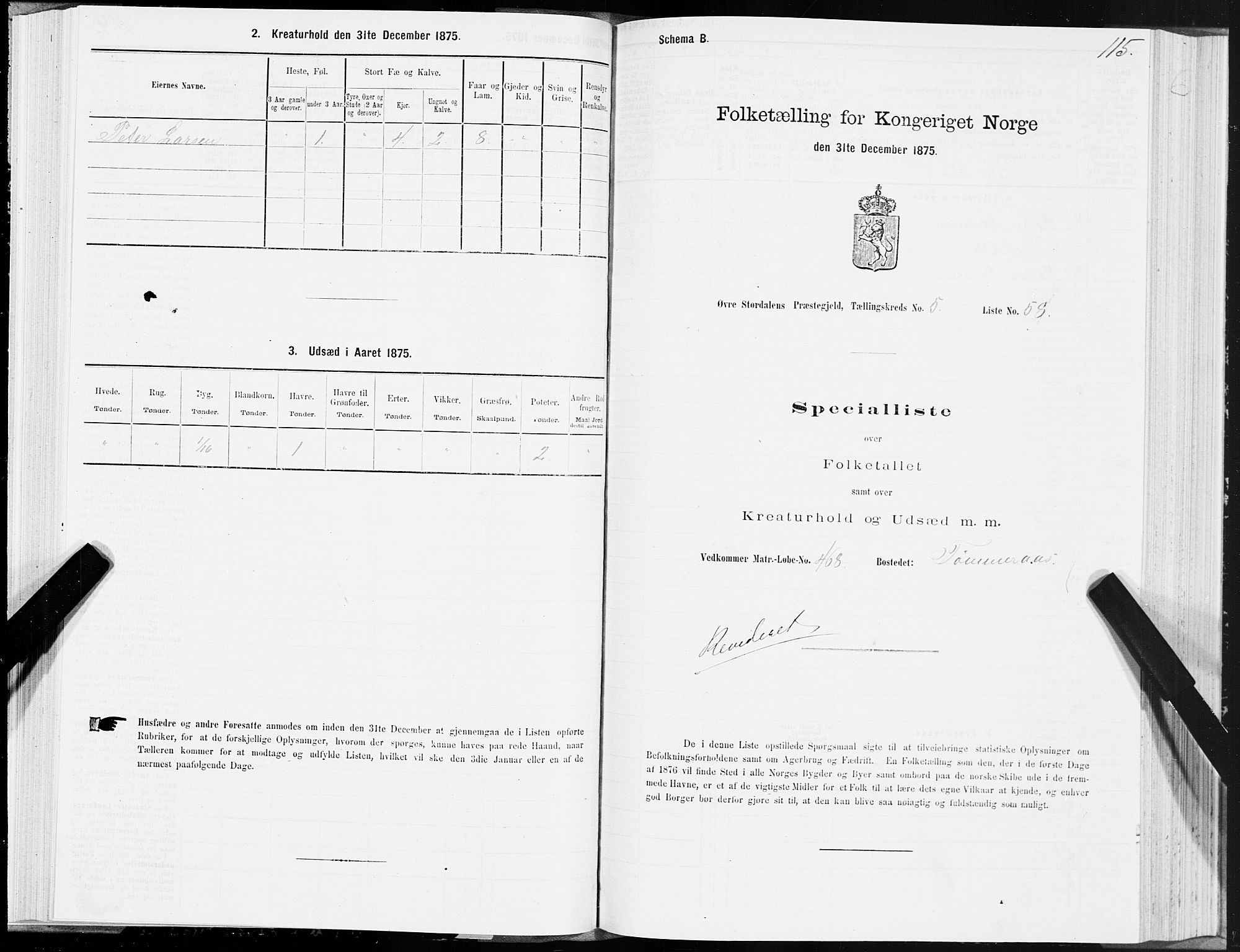 SAT, 1875 census for 1711P Øvre Stjørdal, 1875, p. 3115