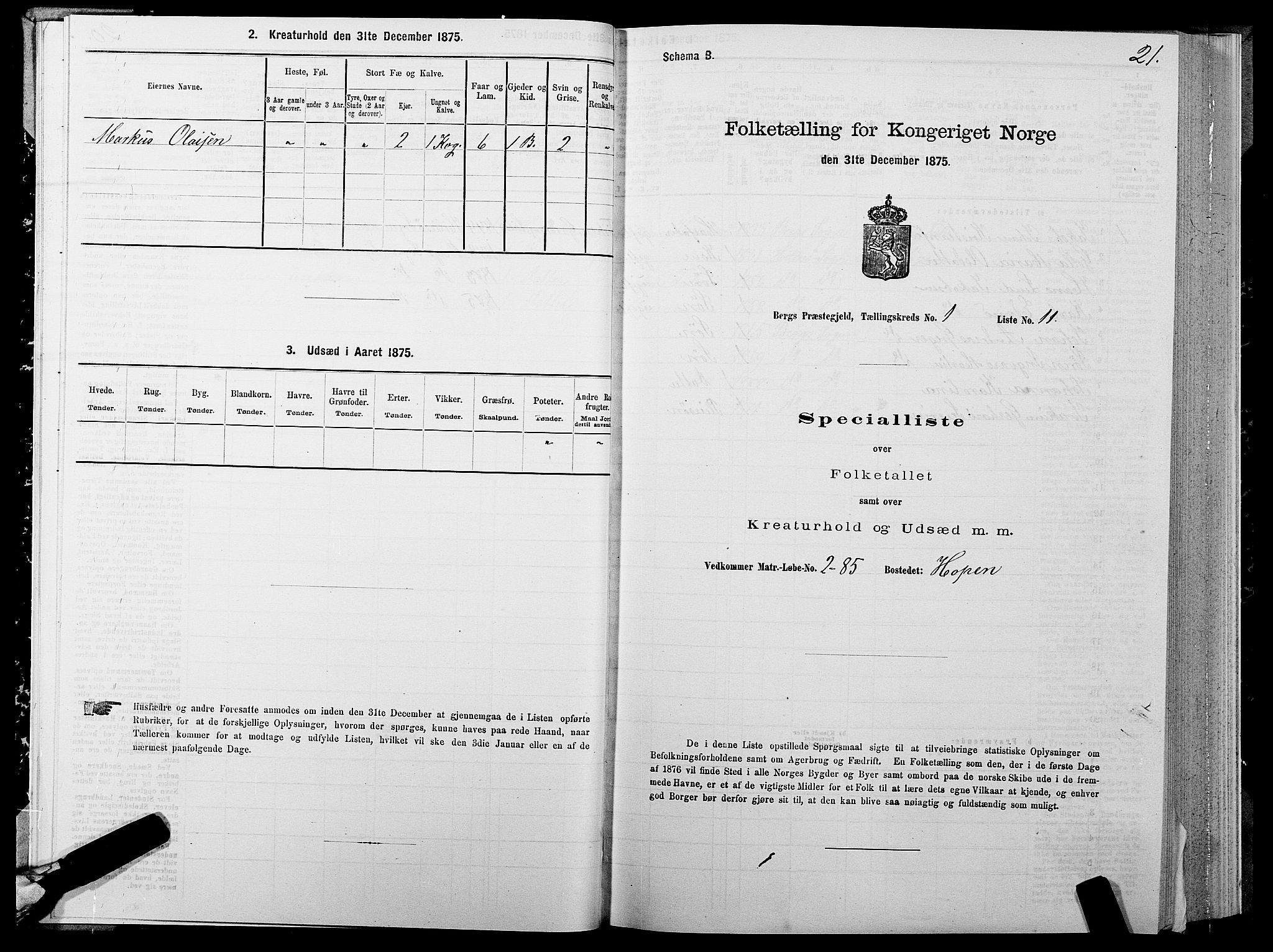 SATØ, 1875 census for 1929P Berg, 1875, p. 1021