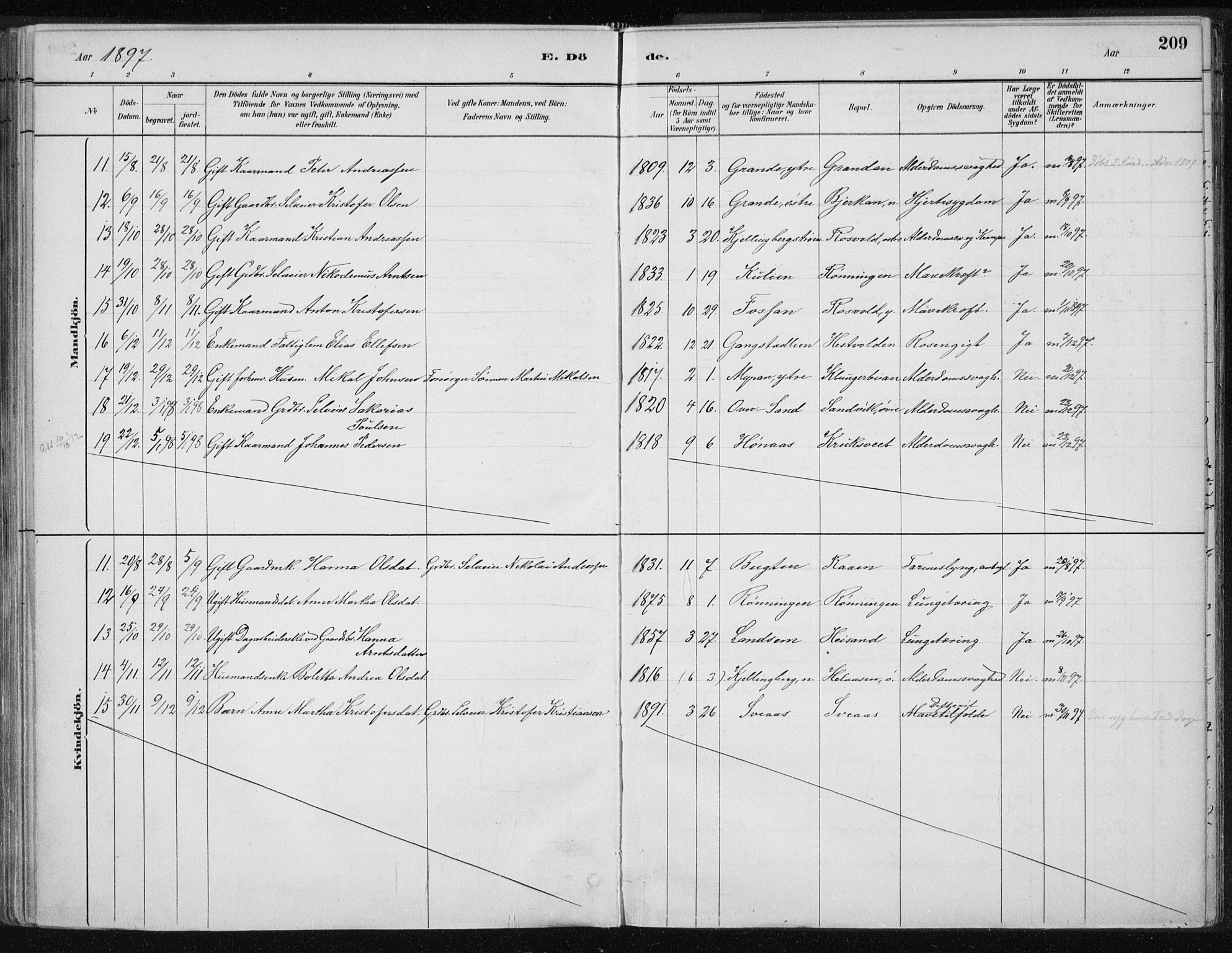 Ministerialprotokoller, klokkerbøker og fødselsregistre - Nord-Trøndelag, SAT/A-1458/701/L0010: Parish register (official) no. 701A10, 1883-1899, p. 209